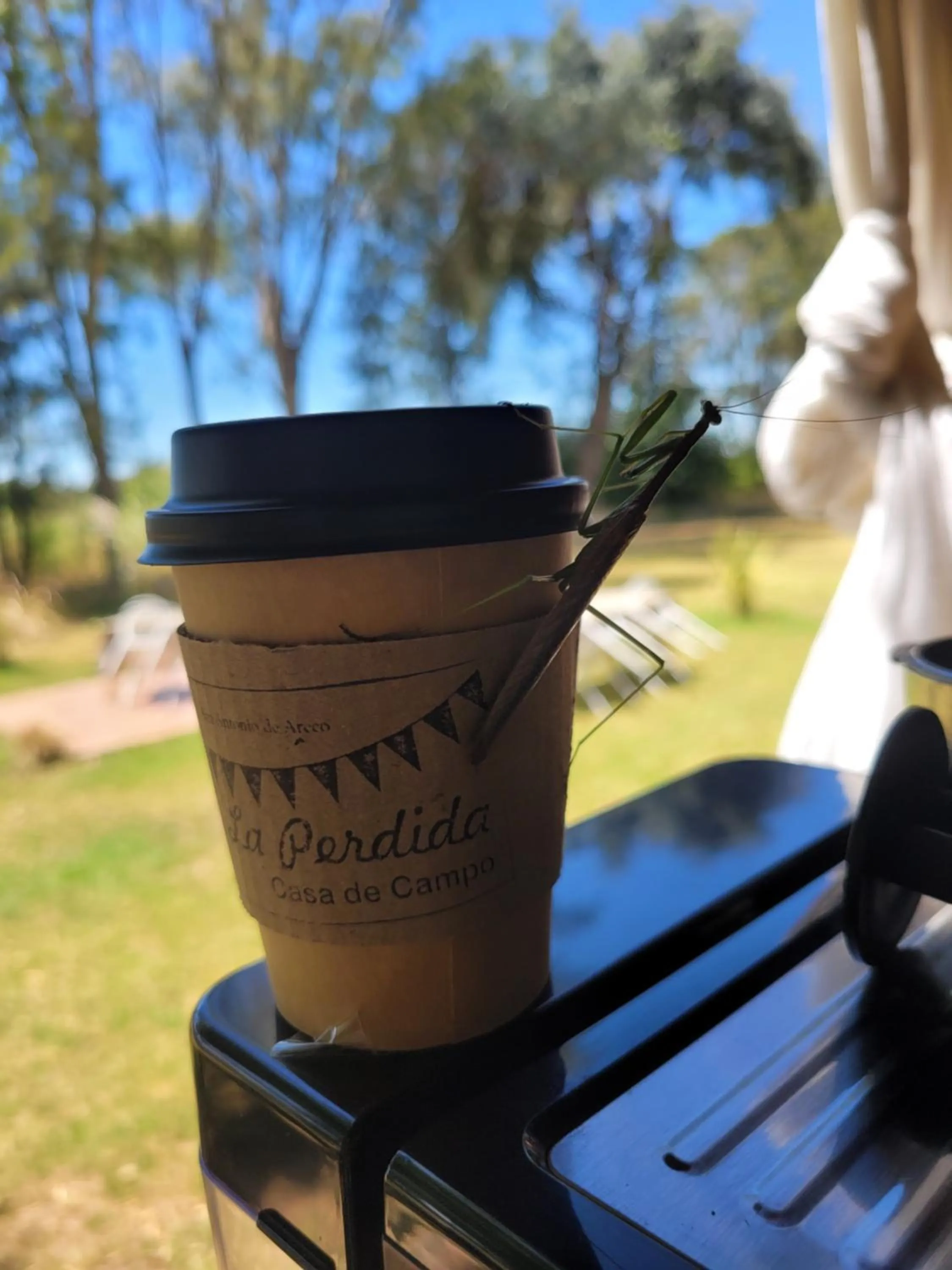 Lounge or bar in La Perdida Casa de Campo