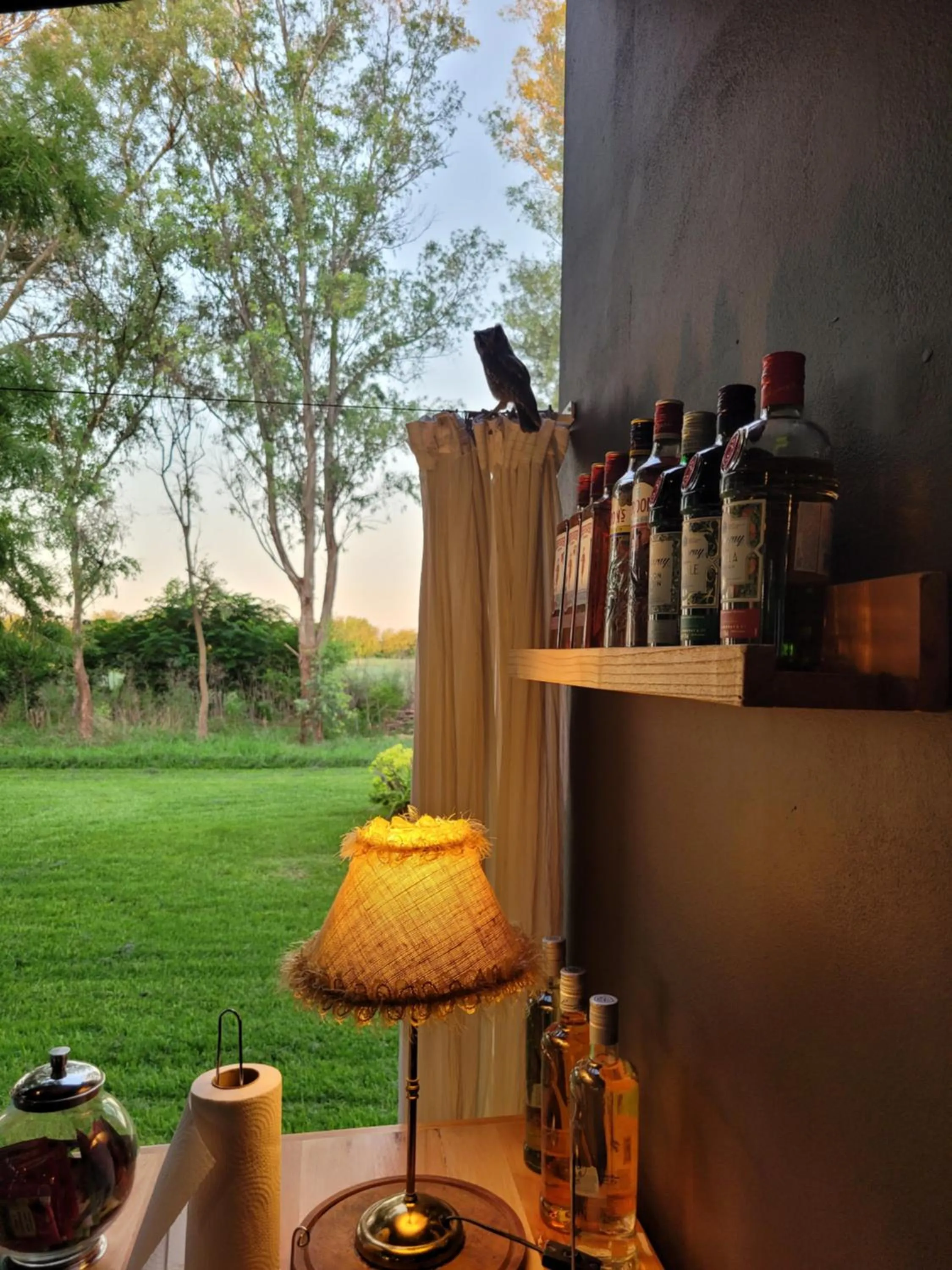 Lounge or bar in La Perdida Casa de Campo