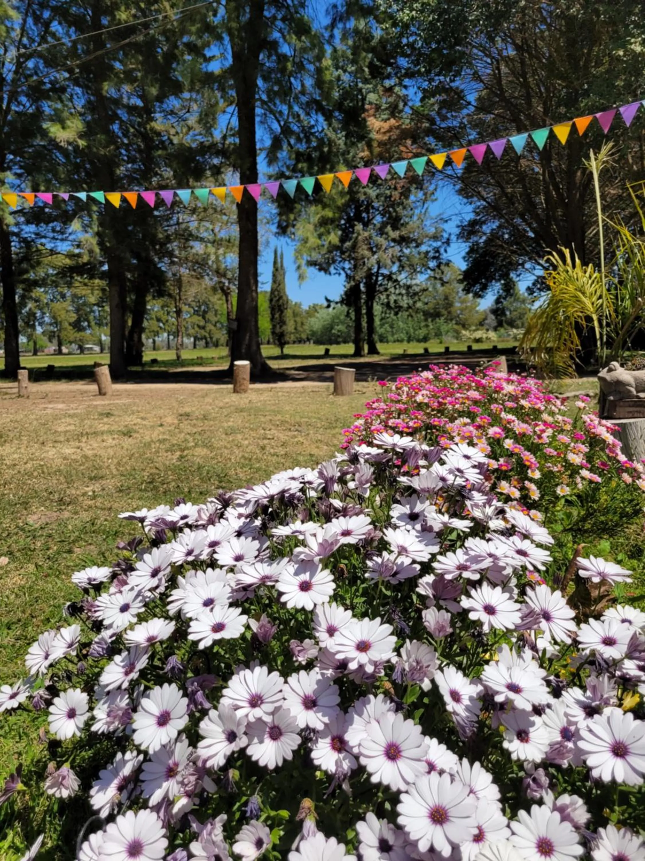 La Perdida Casa de Campo
