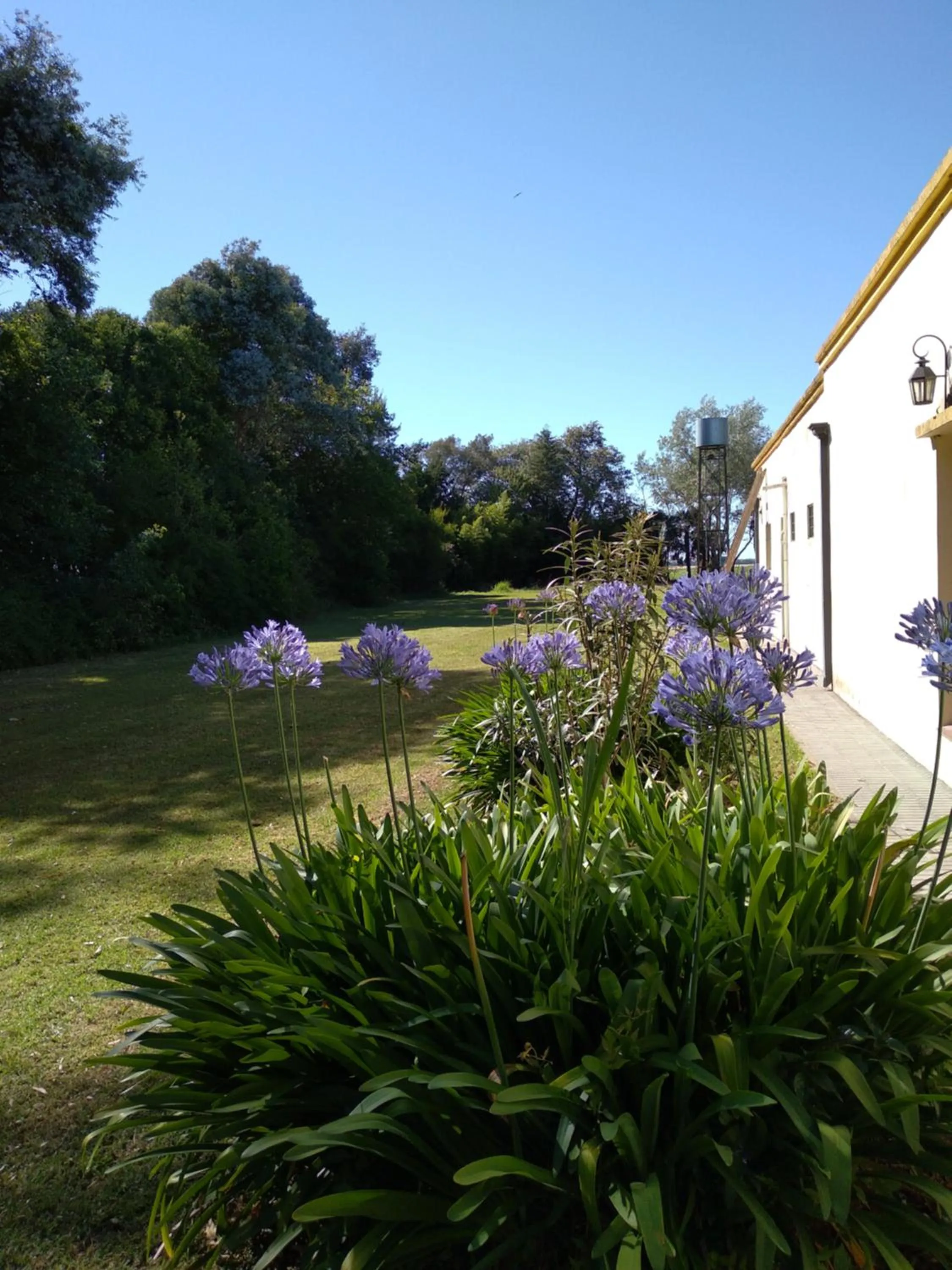 Garden in La Perdida Casa de Campo