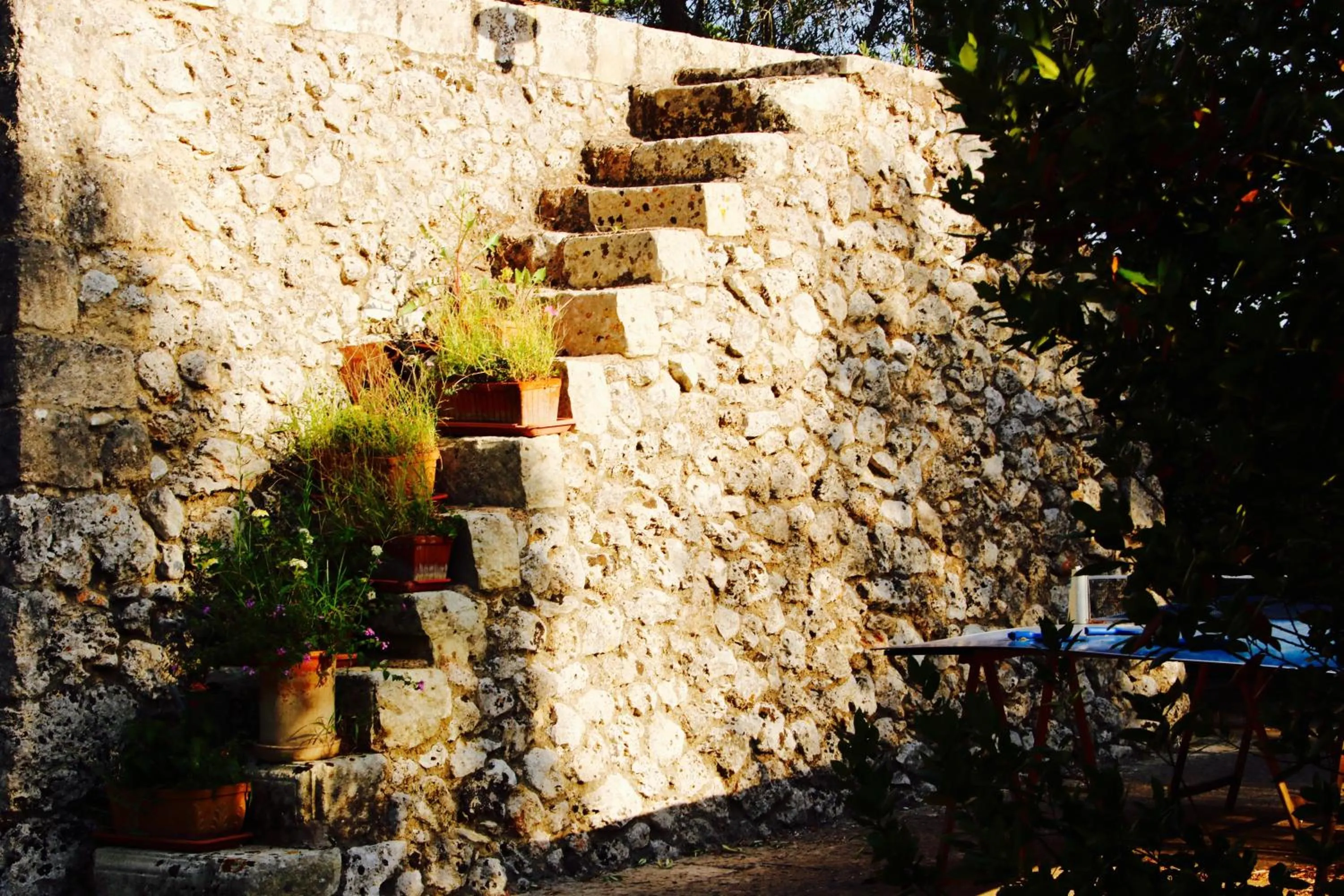 On site in Tenuta Le Crie