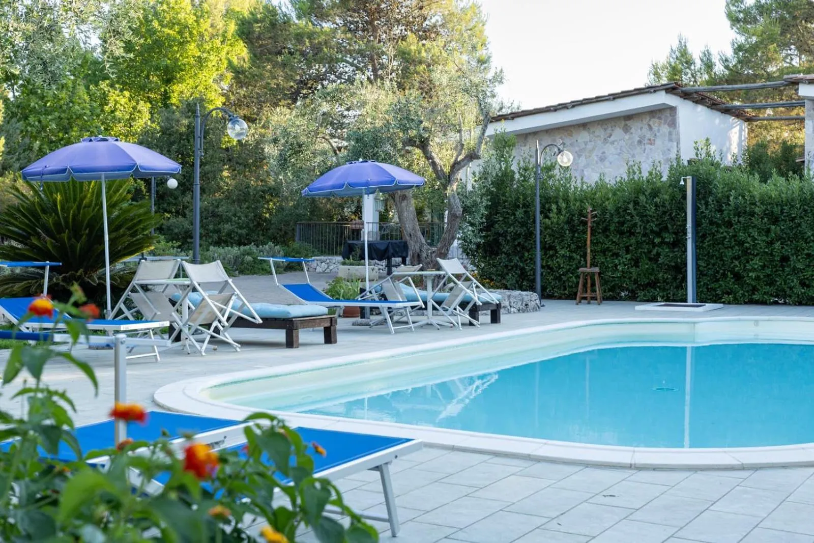 Swimming pool in Tenuta Le Crie