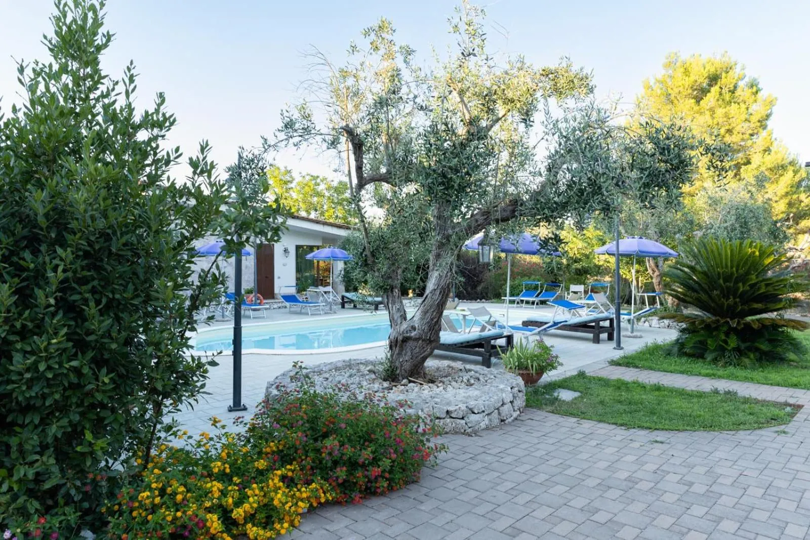 Swimming pool in Tenuta Le Crie