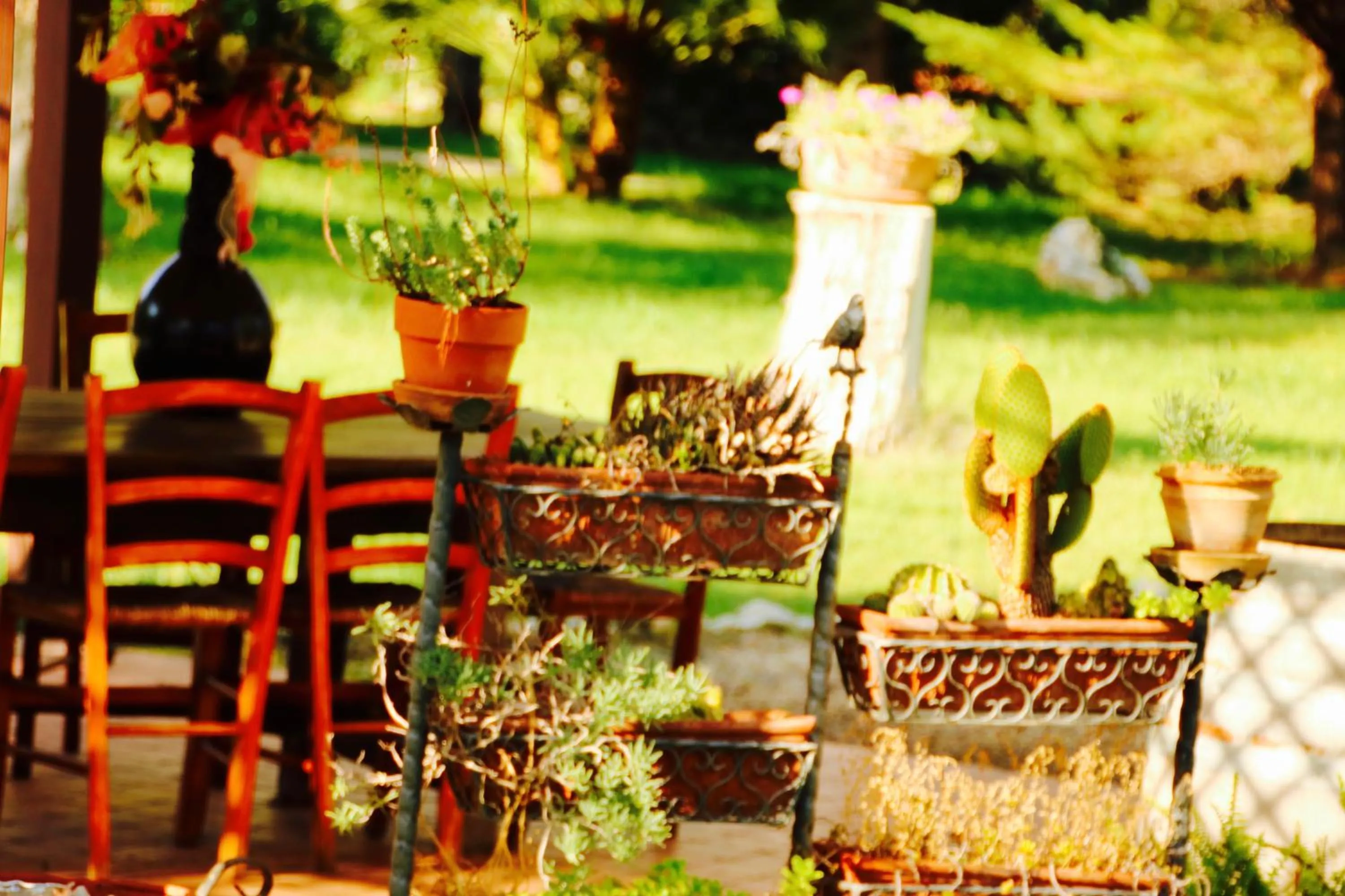 BBQ facilities in Tenuta Le Crie