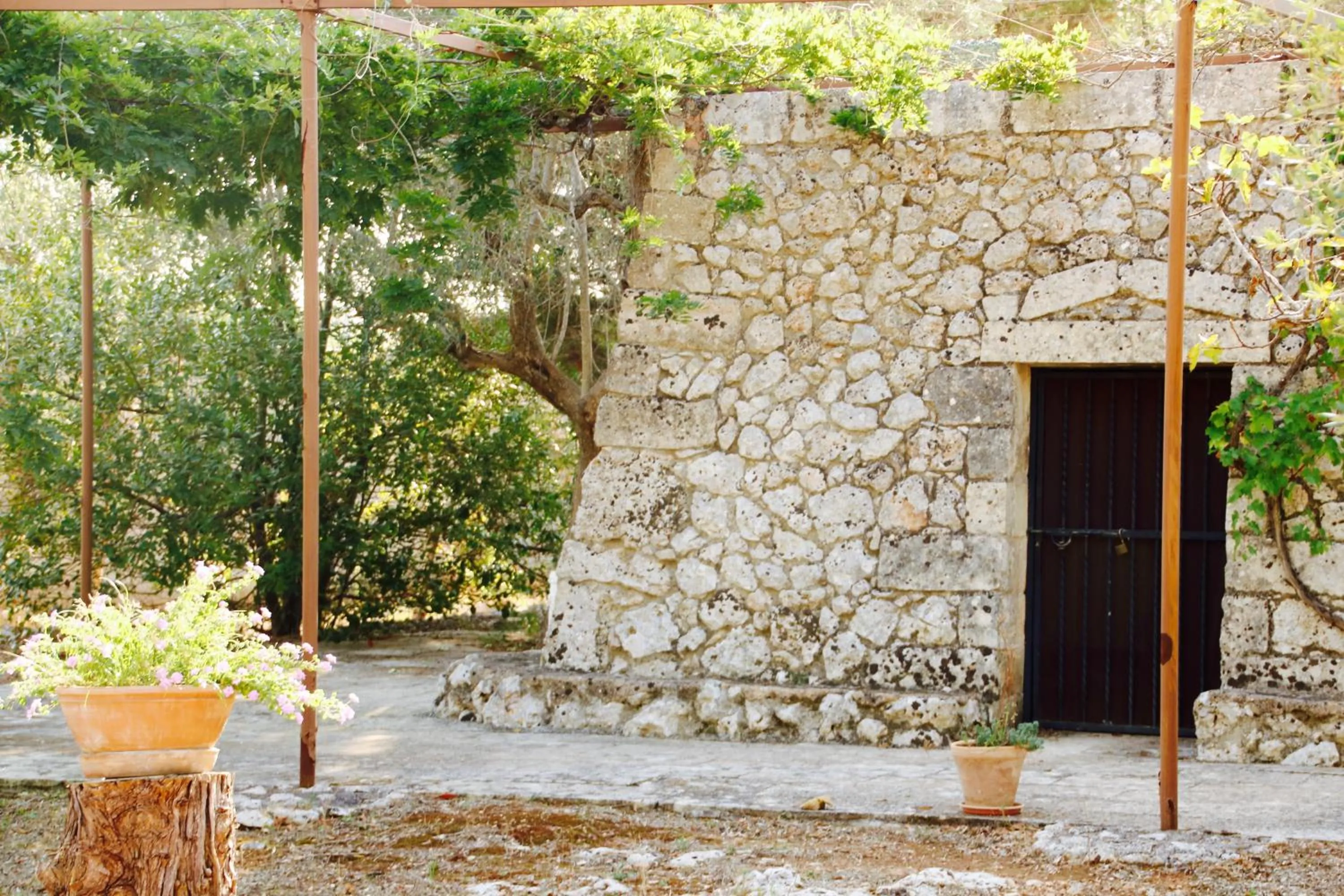 View (from property/room) in Tenuta Le Crie