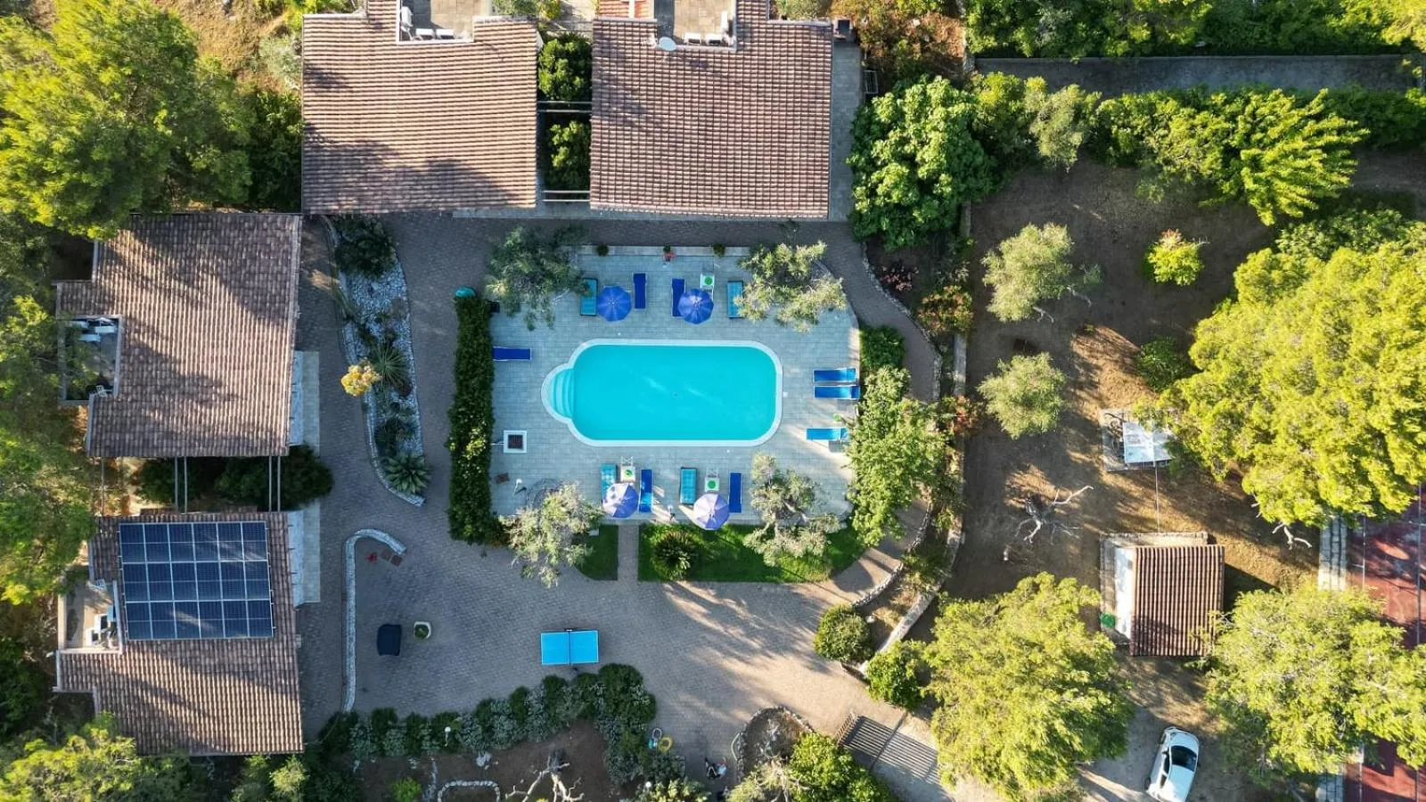 Bird's eye view in Tenuta Le Crie
