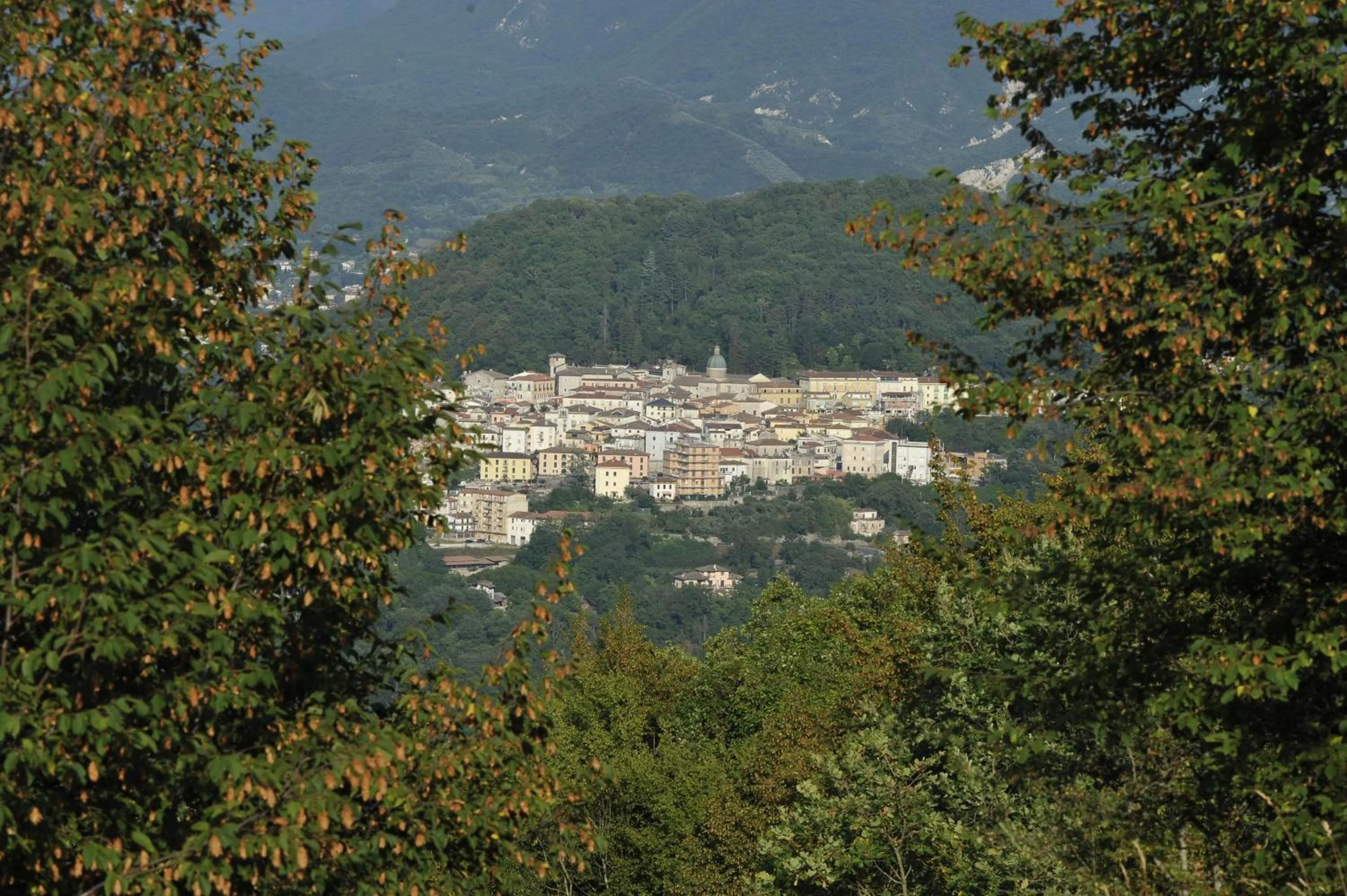 Natural landscape in Palazzo del Senatore