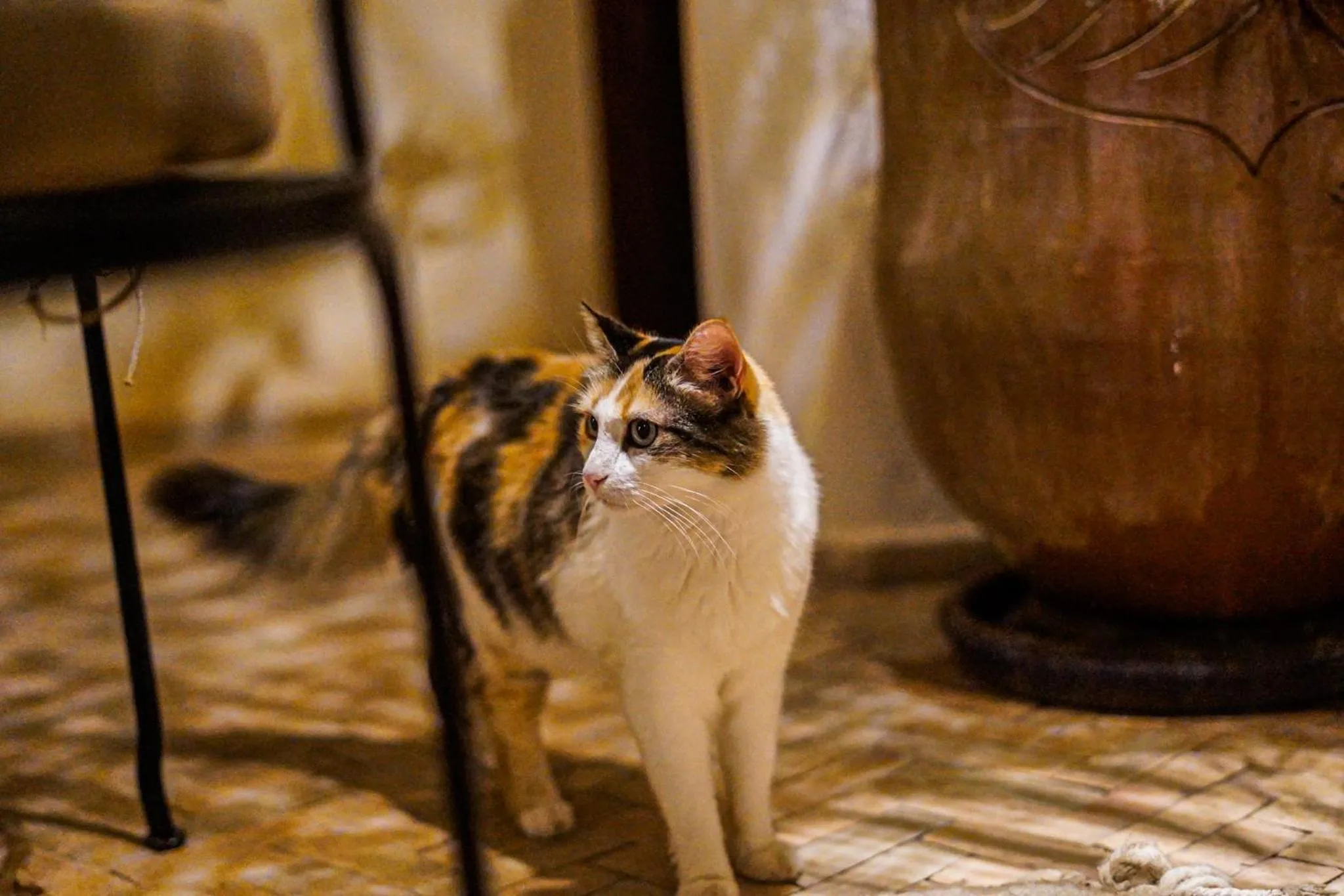 Property building in Riad Chams Marrakech