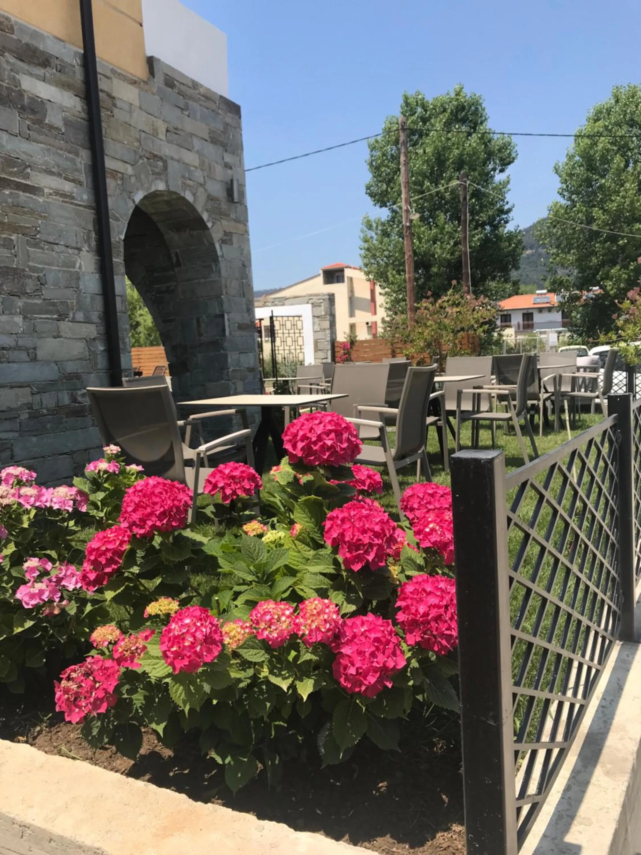 Day in Anthelia