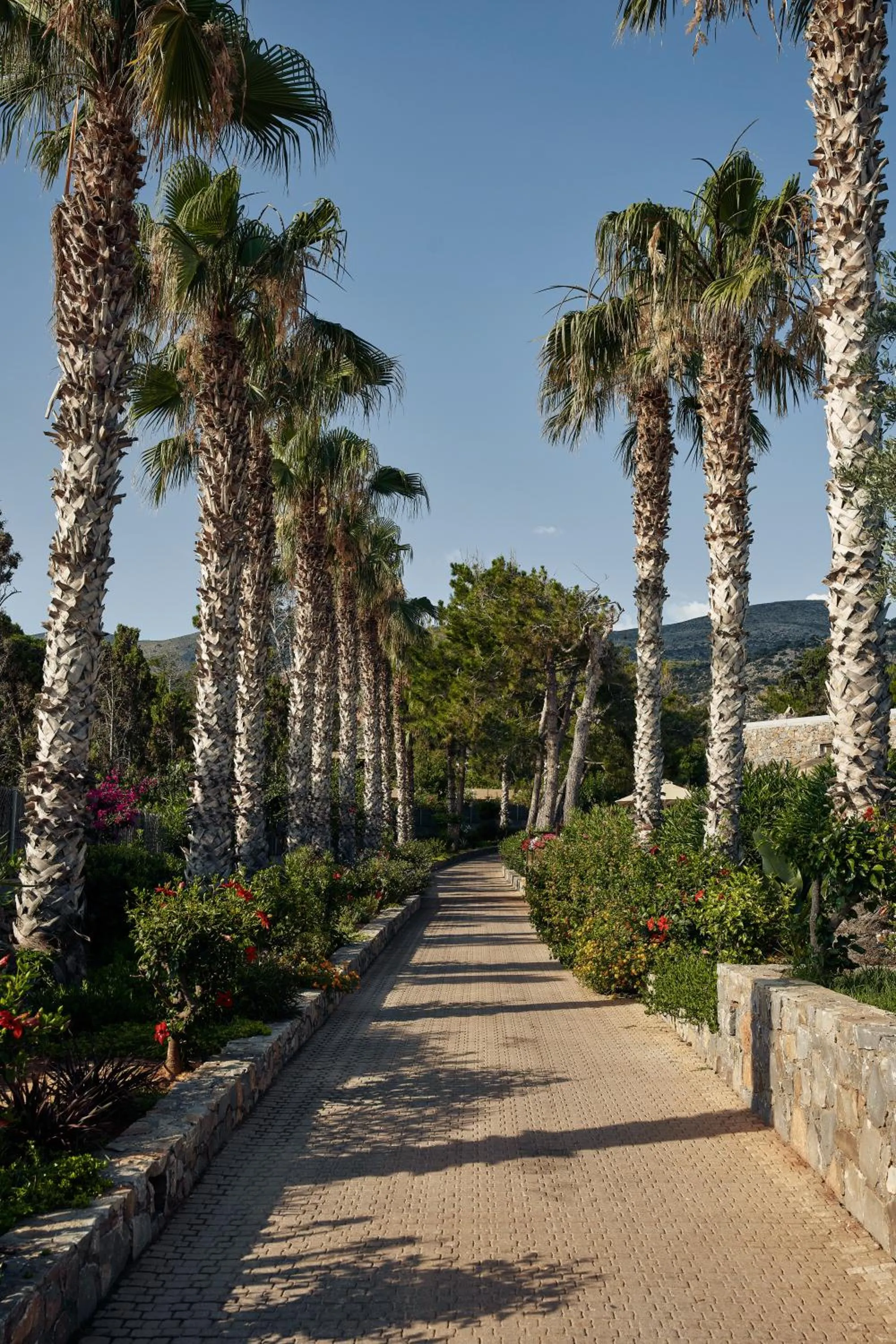 Garden in Ikaros Beach, Luxury Resort & Spa - Adults Only