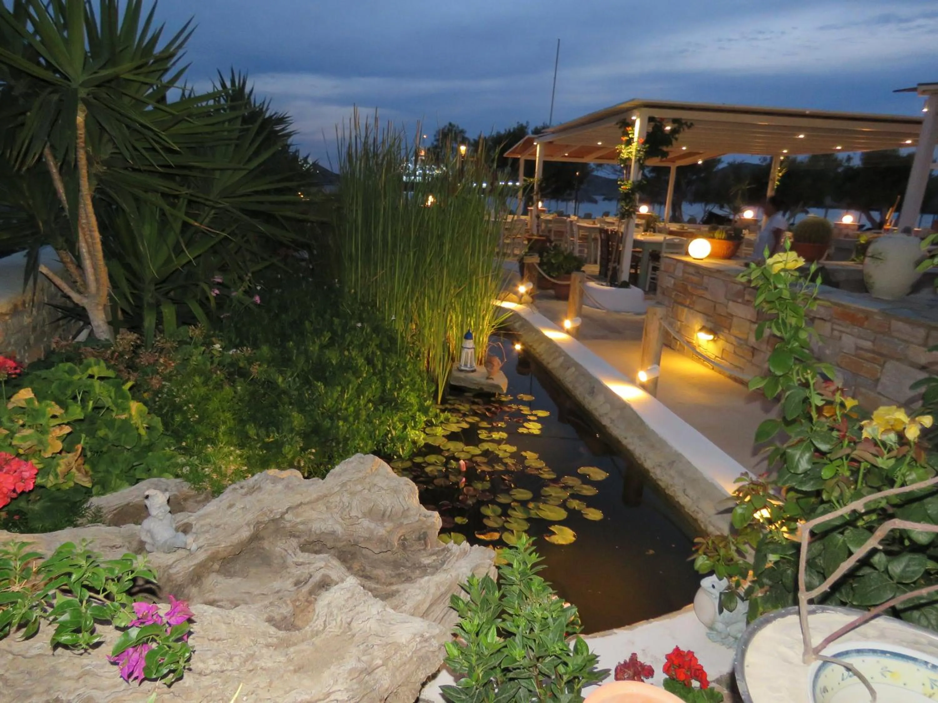 Restaurant/places to eat in Corali Beach Hotel