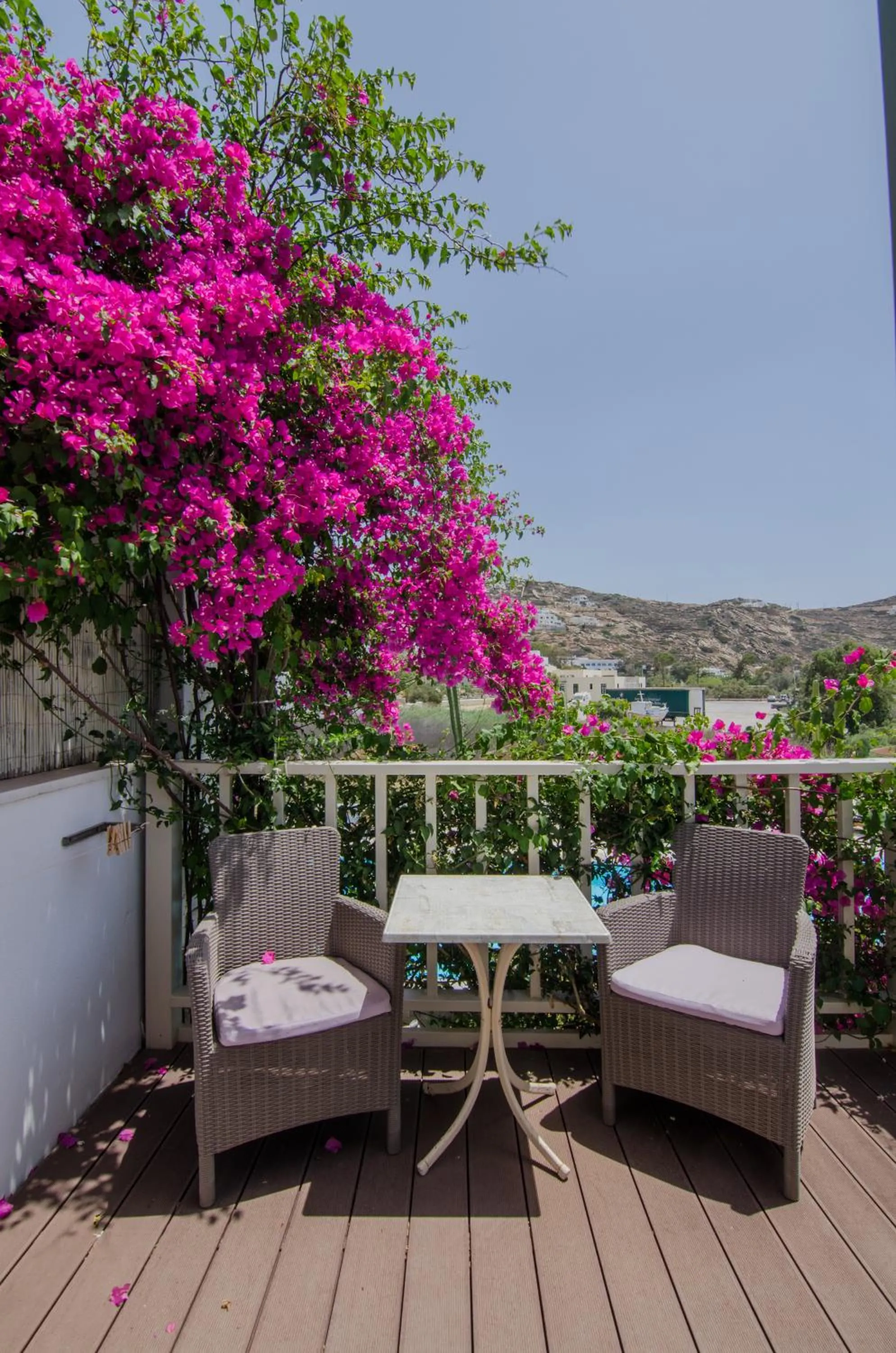 Garden in Corali Beach Hotel