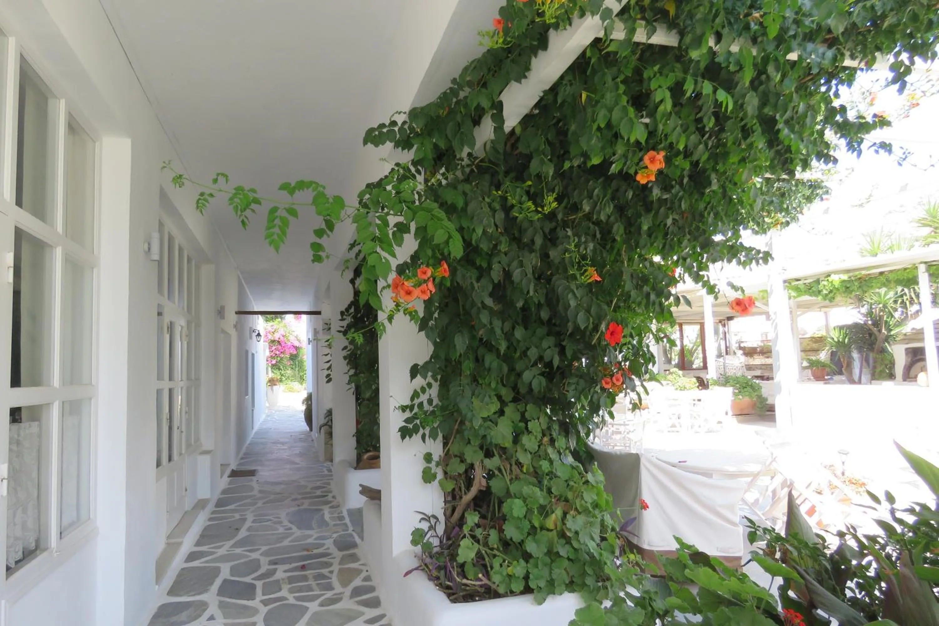 Garden in Corali Beach Hotel