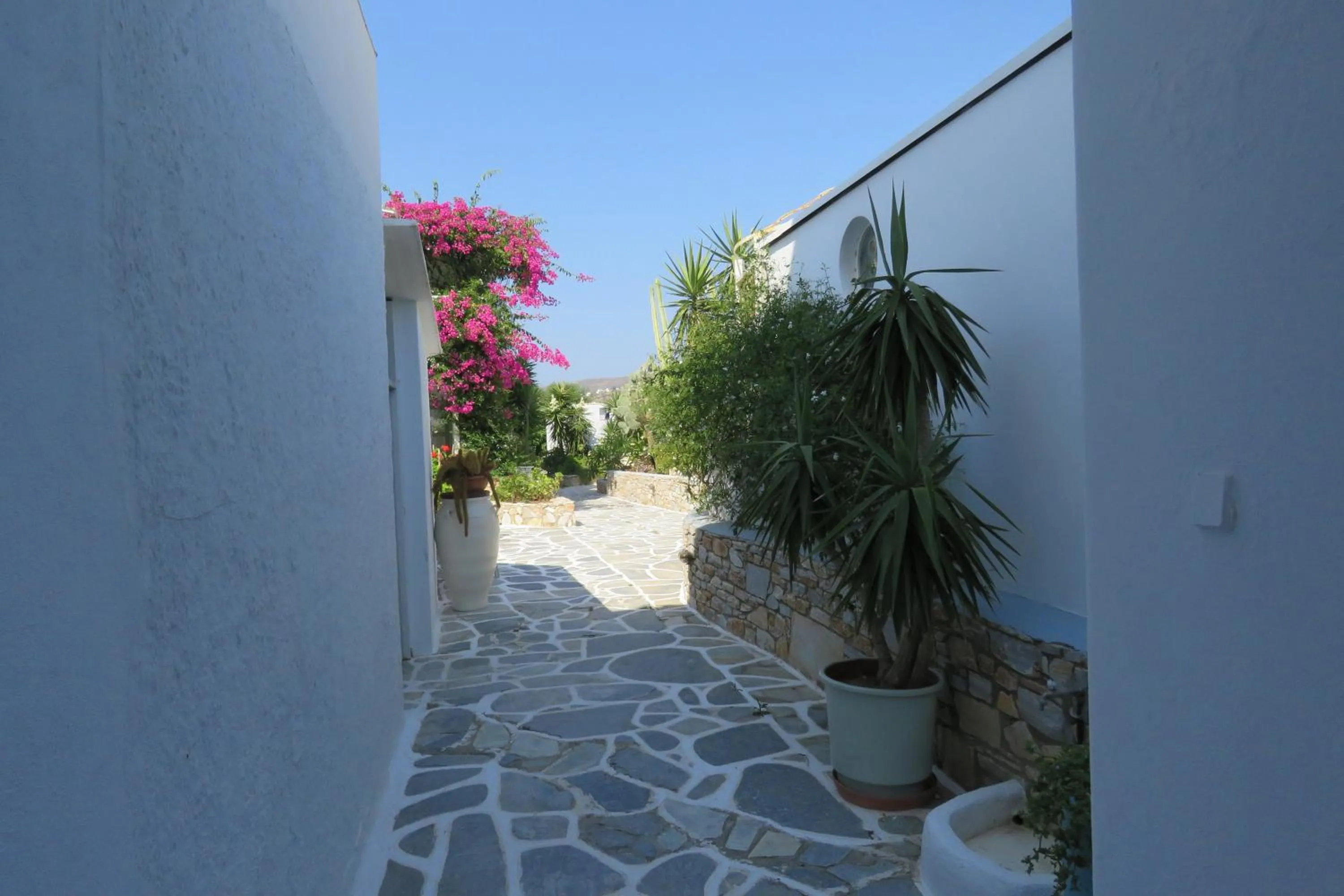 Corali Beach Hotel