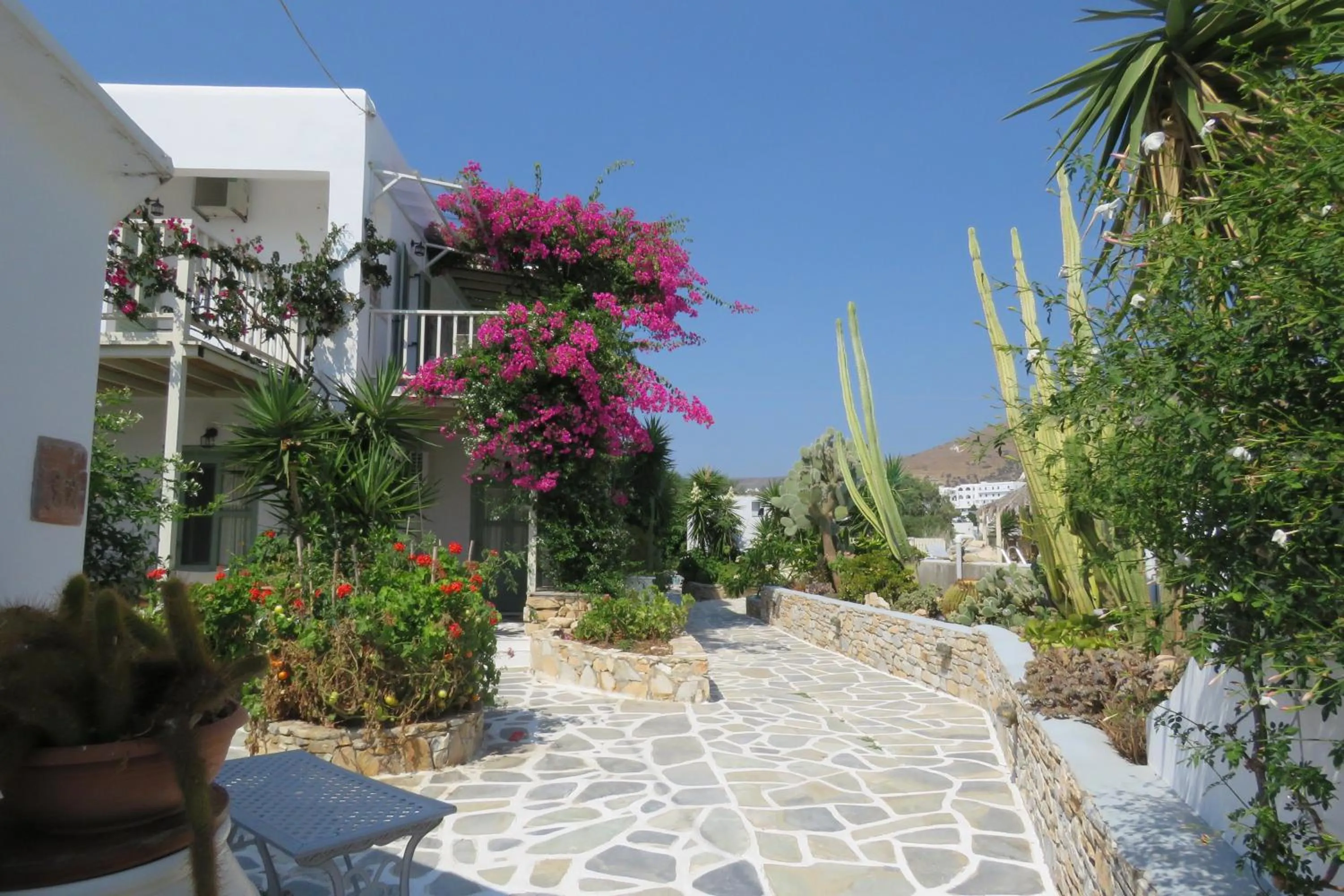 Garden in Corali Beach Hotel