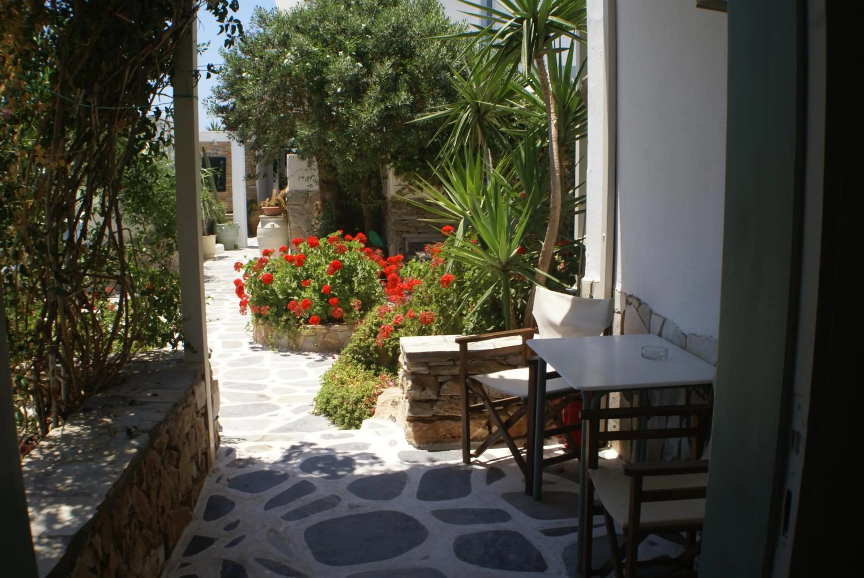 Patio in Corali Beach Hotel