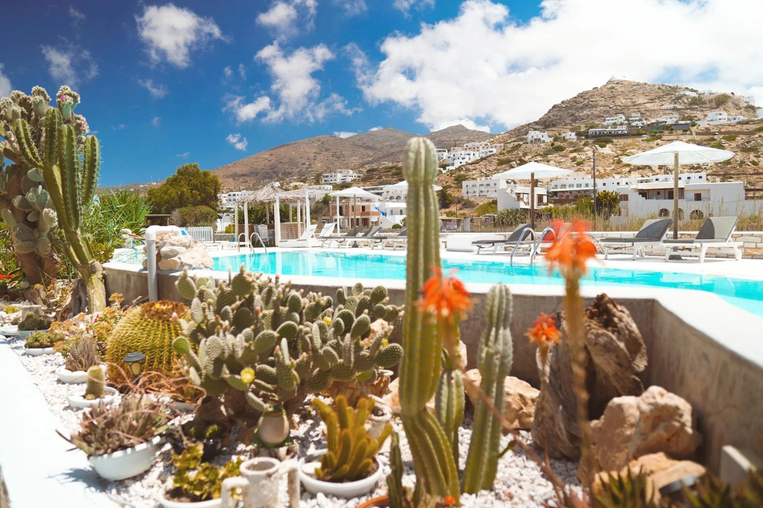 Garden in Corali Beach Hotel