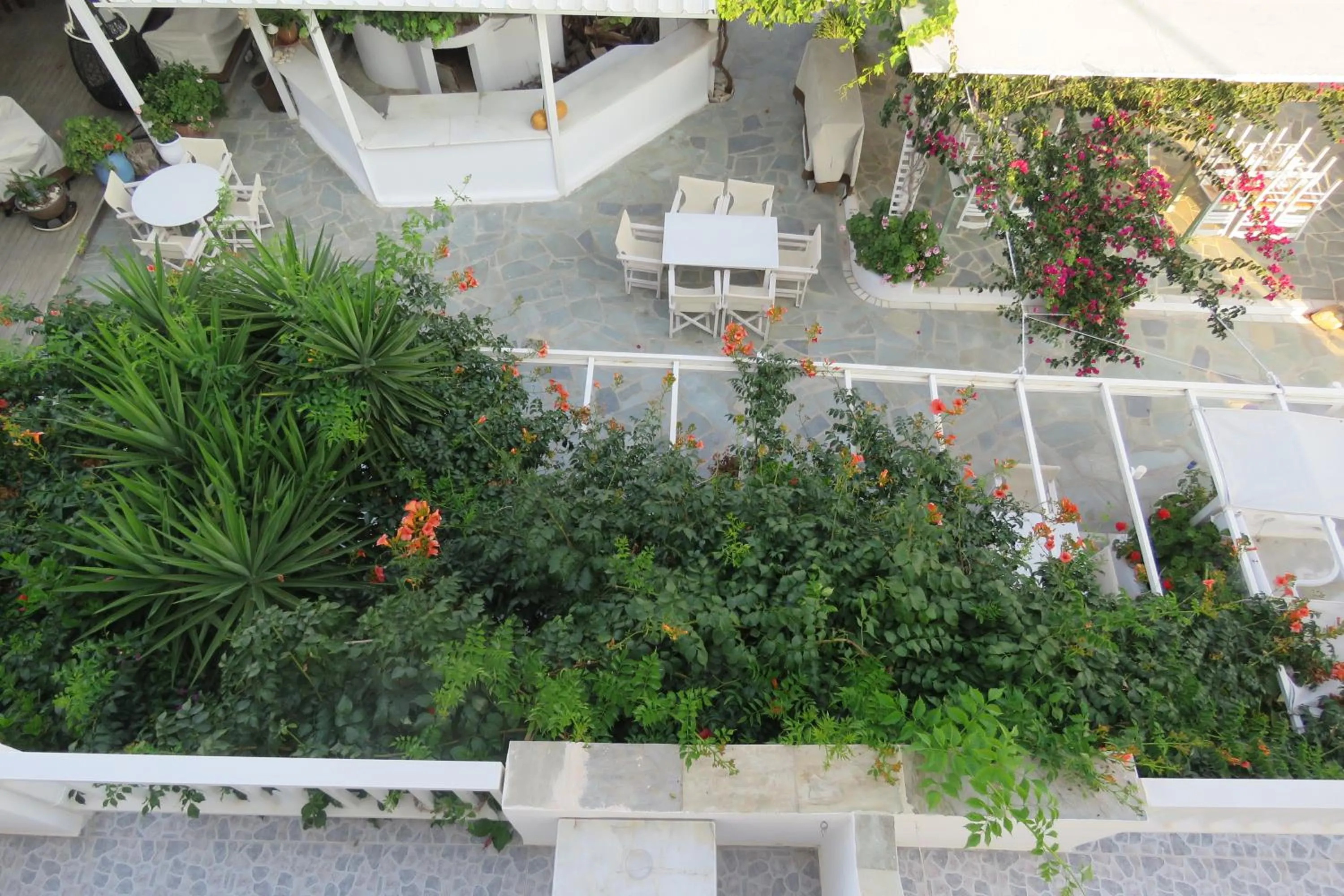 Restaurant/places to eat in Corali Beach Hotel