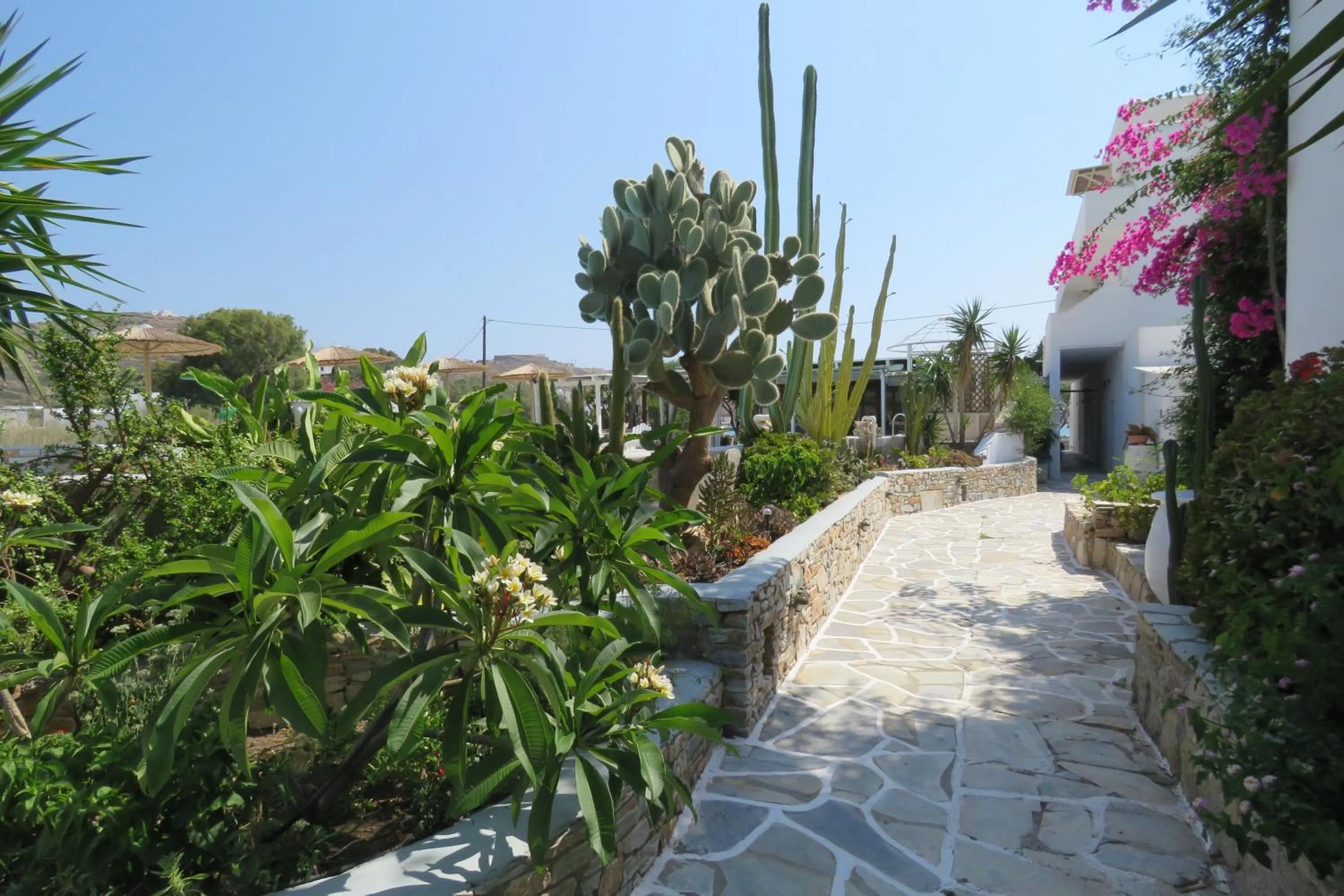 Garden in Corali Beach Hotel