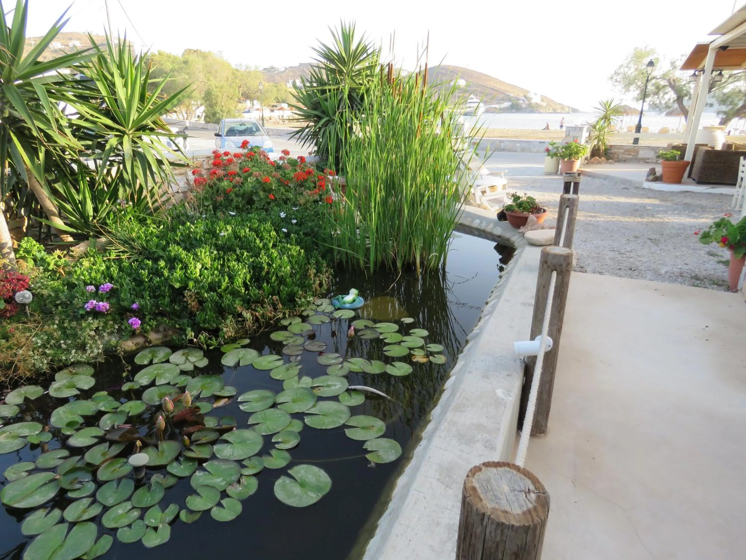 Restaurant/places to eat in Corali Beach Hotel