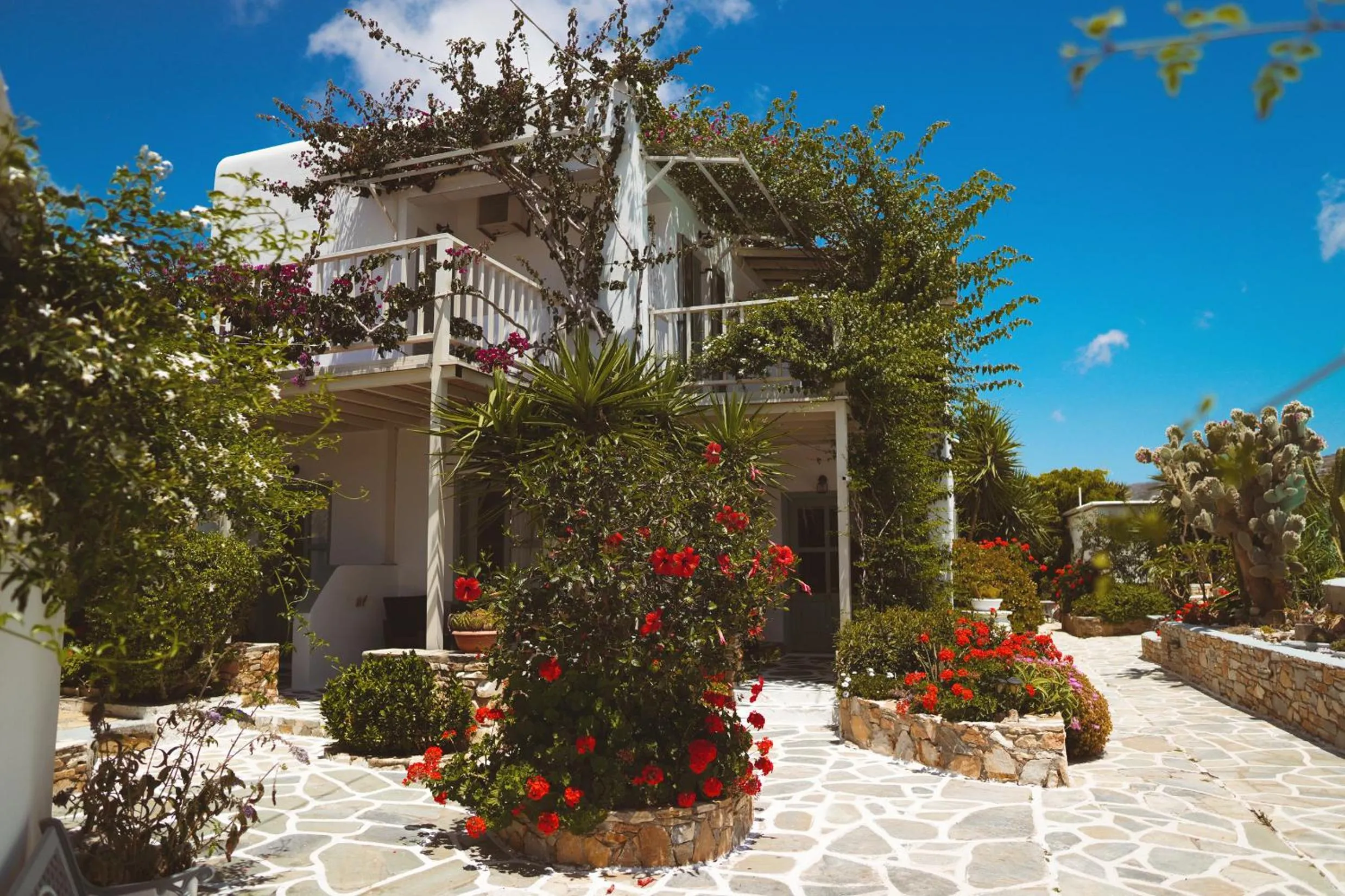 Garden in Corali Beach Hotel