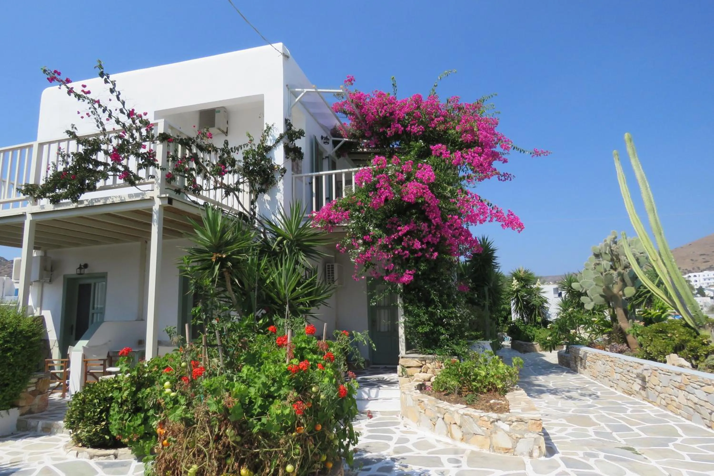 Garden in Corali Beach Hotel