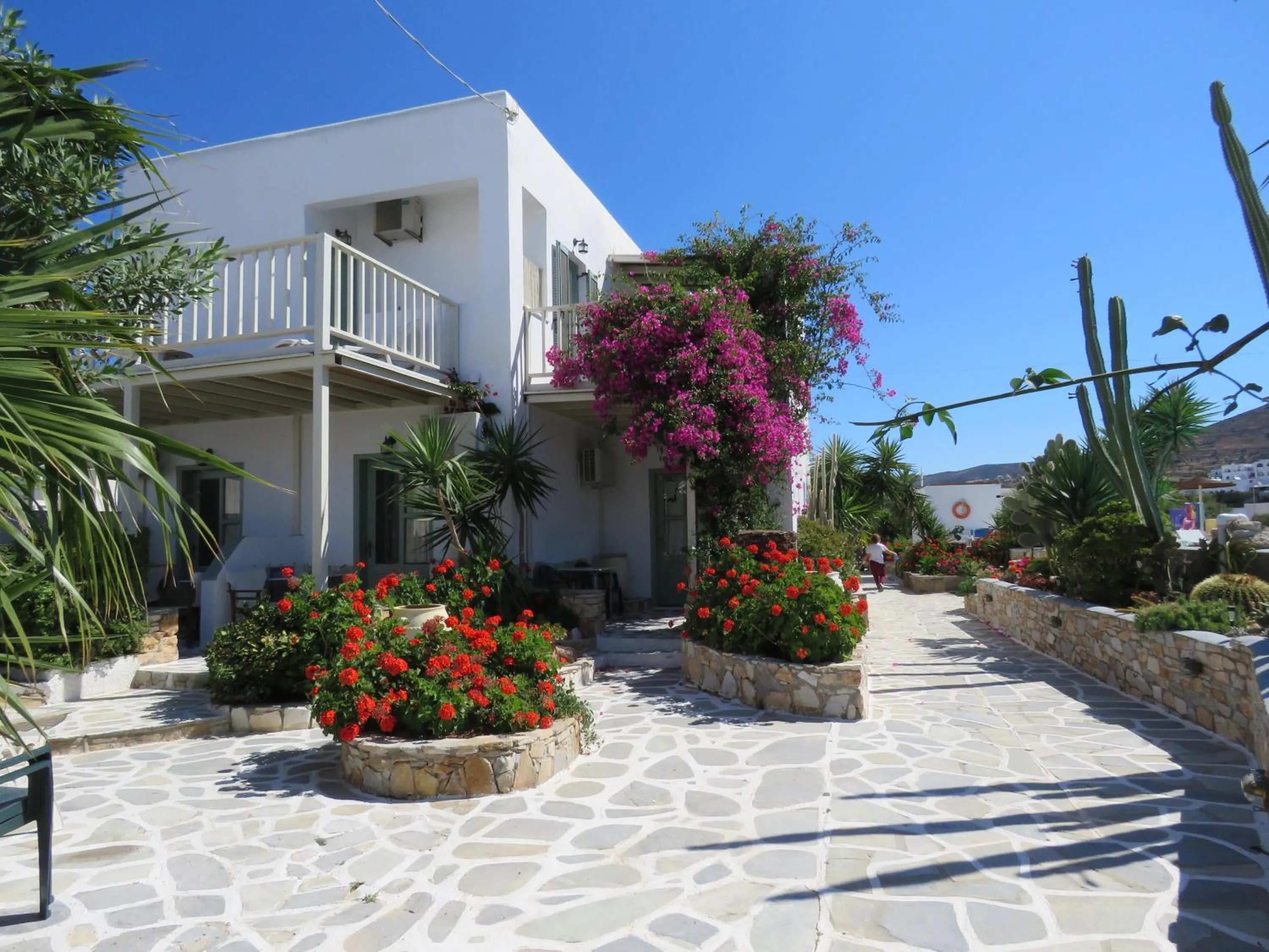 Garden in Corali Beach Hotel