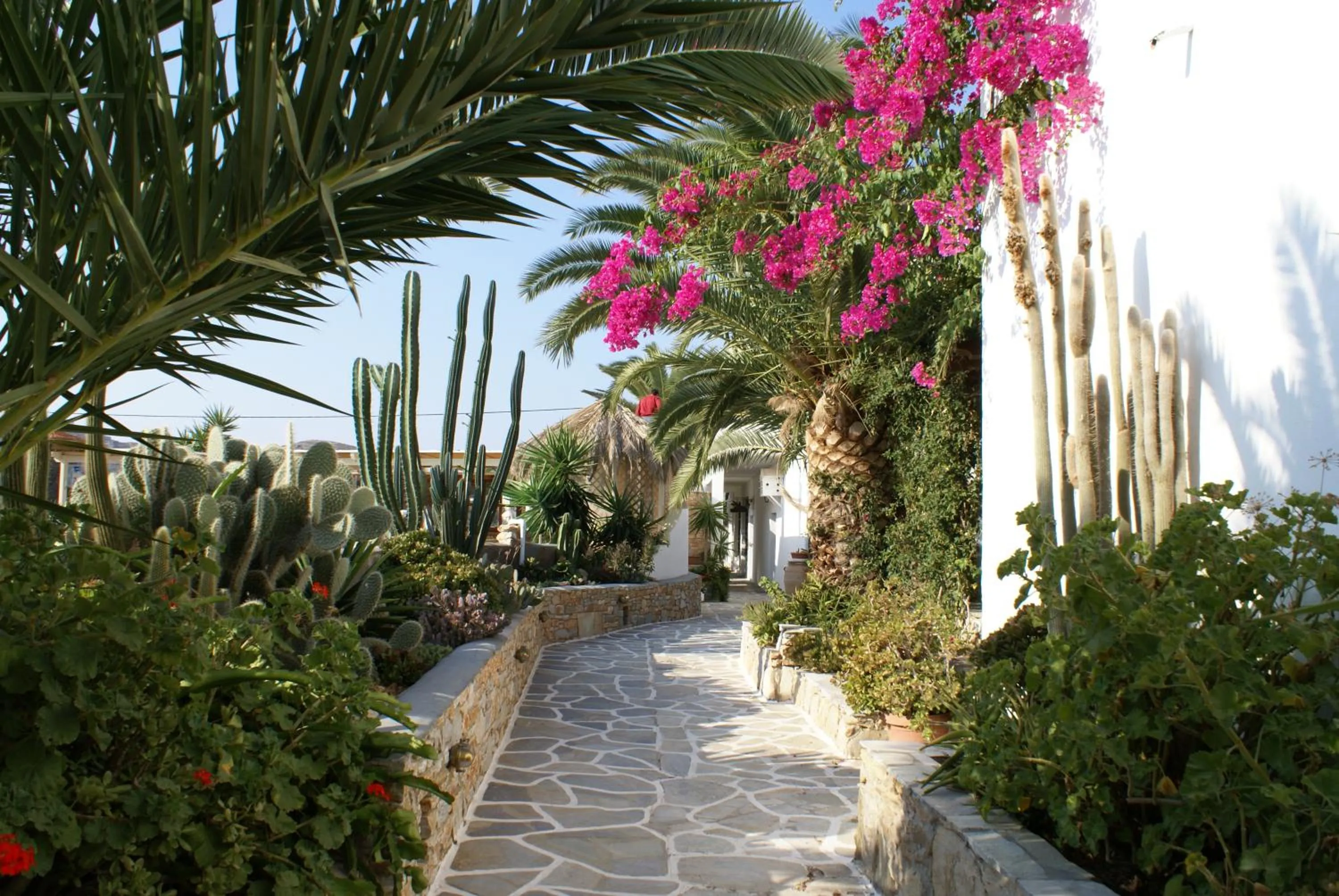 Garden in Corali Beach Hotel