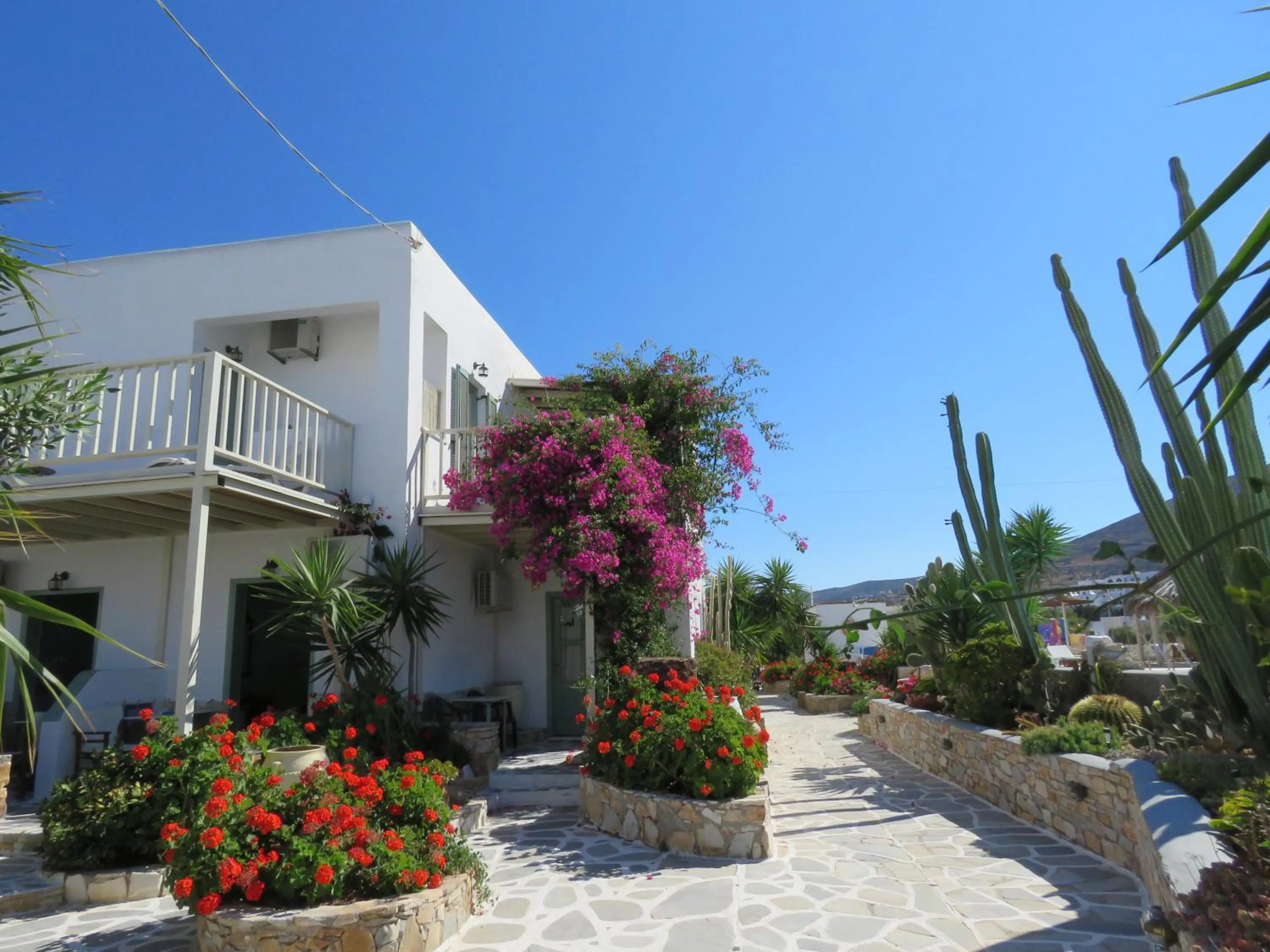 Garden in Corali Beach Hotel