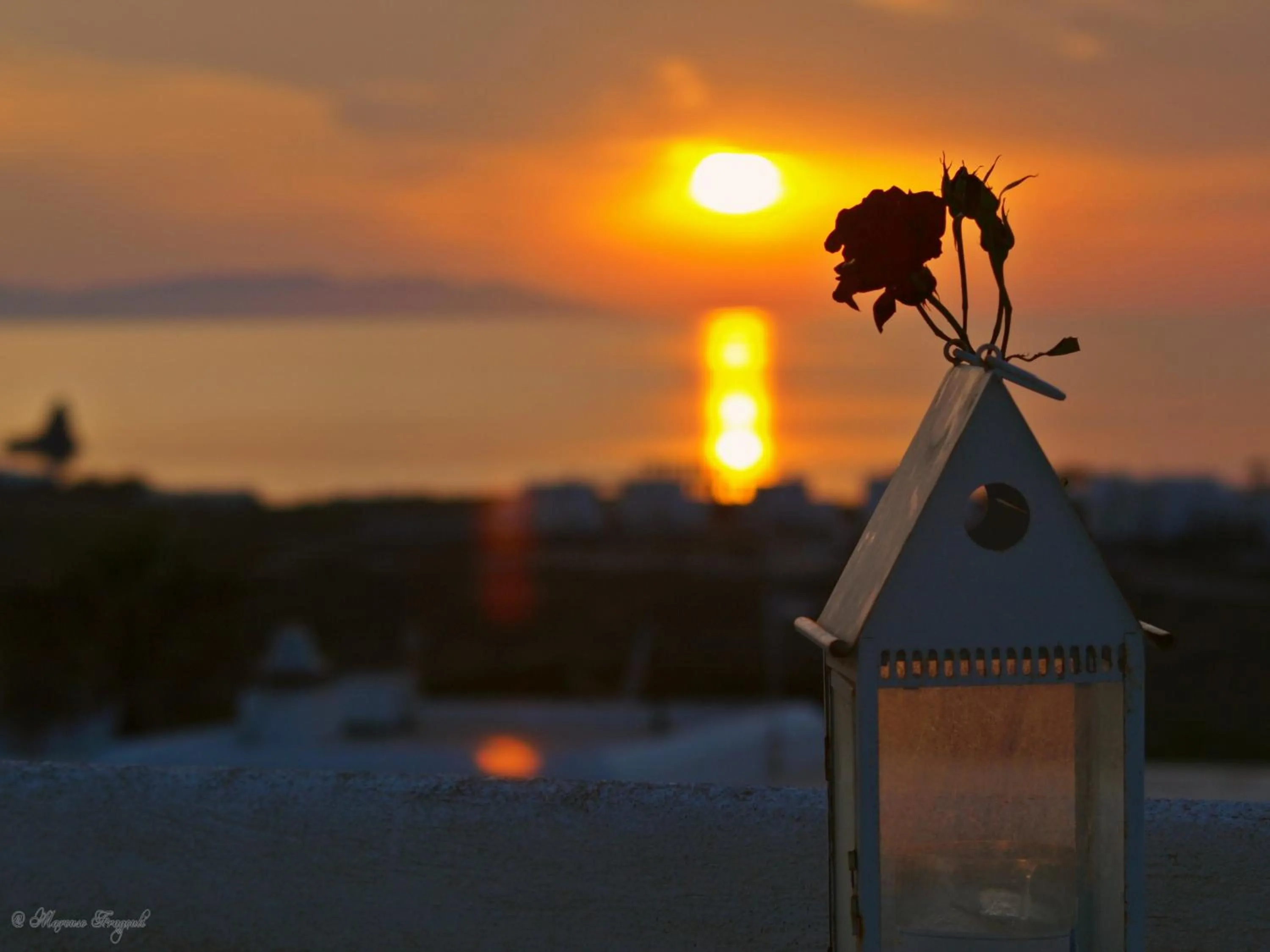 Summer in Fragoulis Village