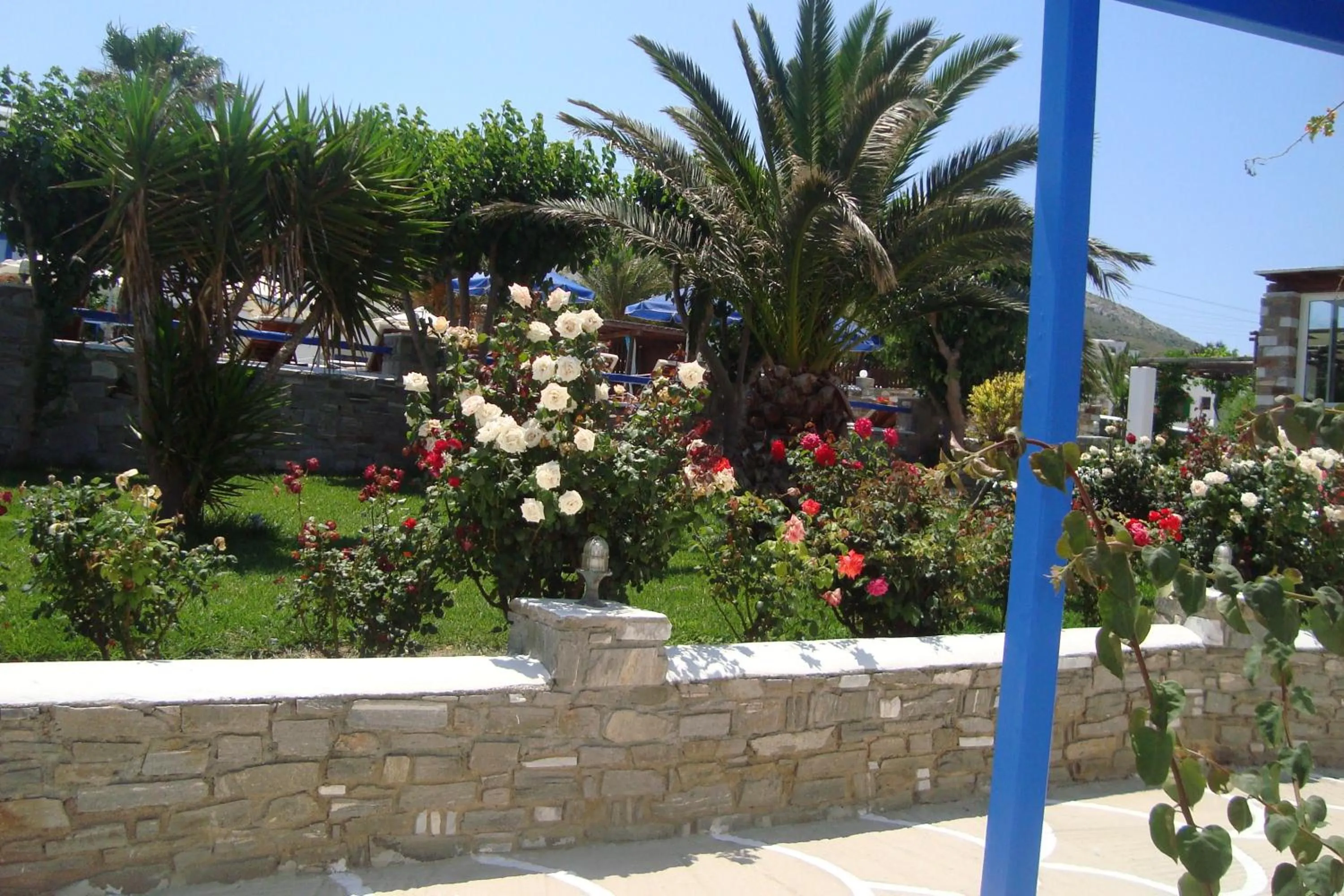 Garden in Fragoulis Village