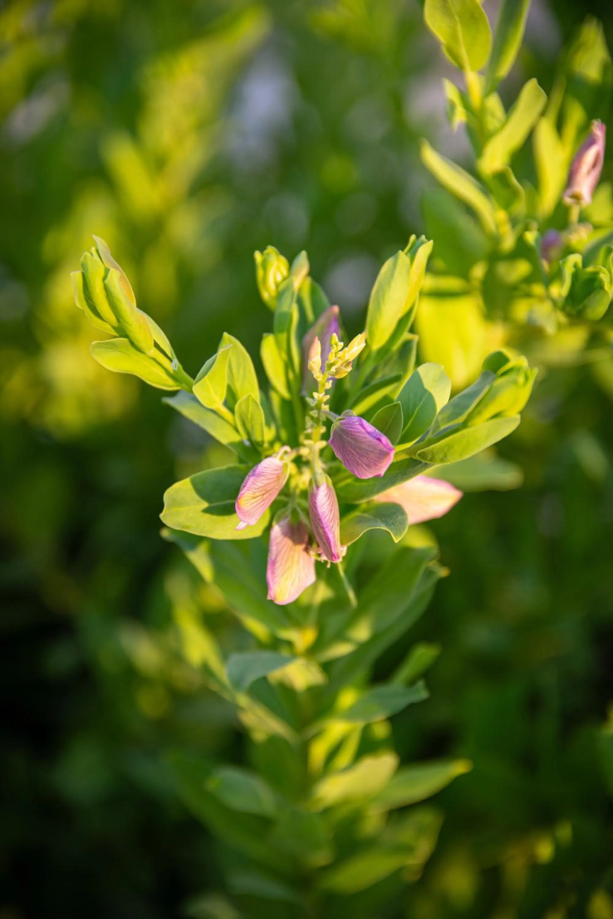 Natural landscape in Fragoulis Village