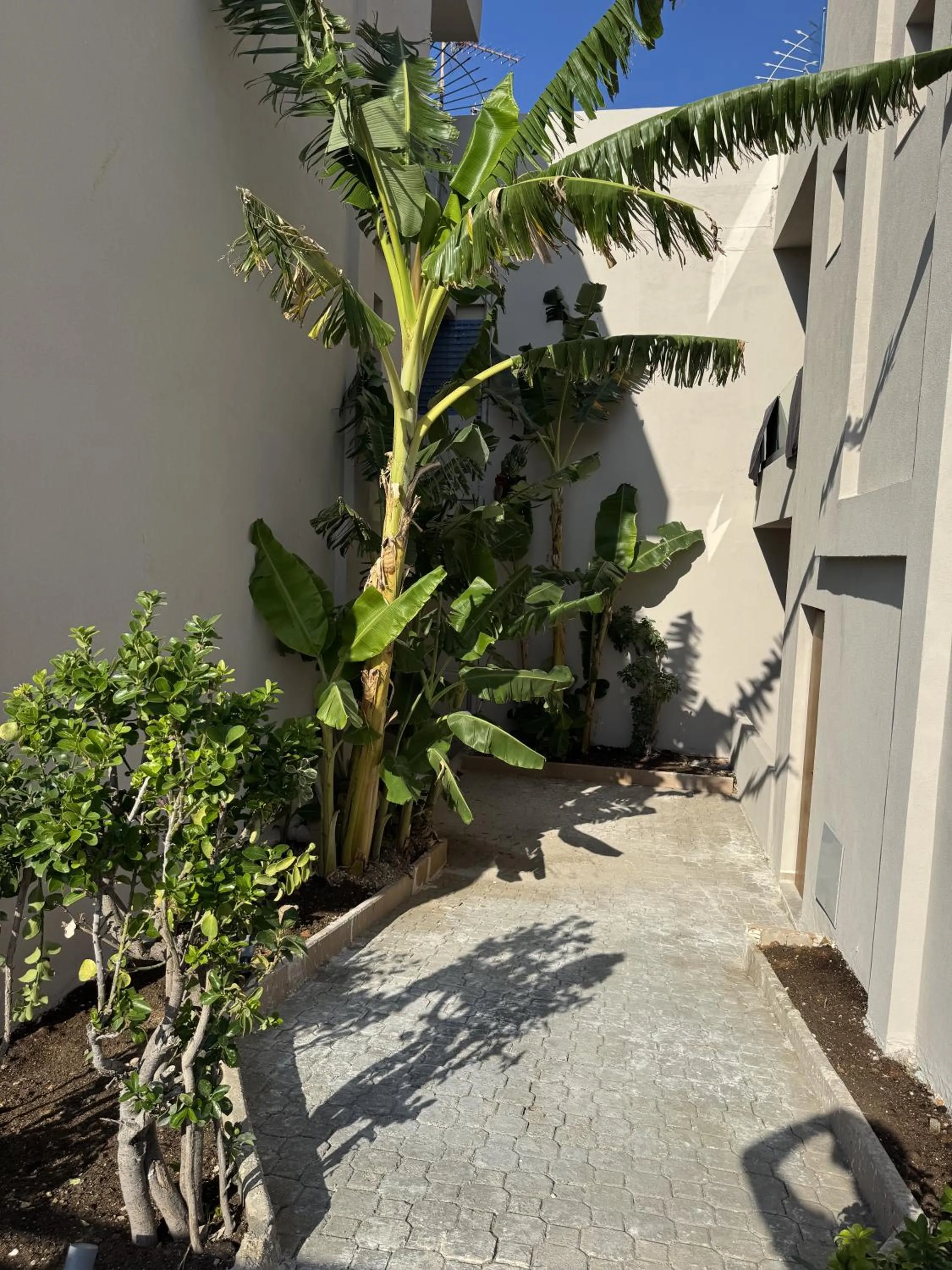 Garden in Τhe Noverian Antama Organic Beach Resort Chania