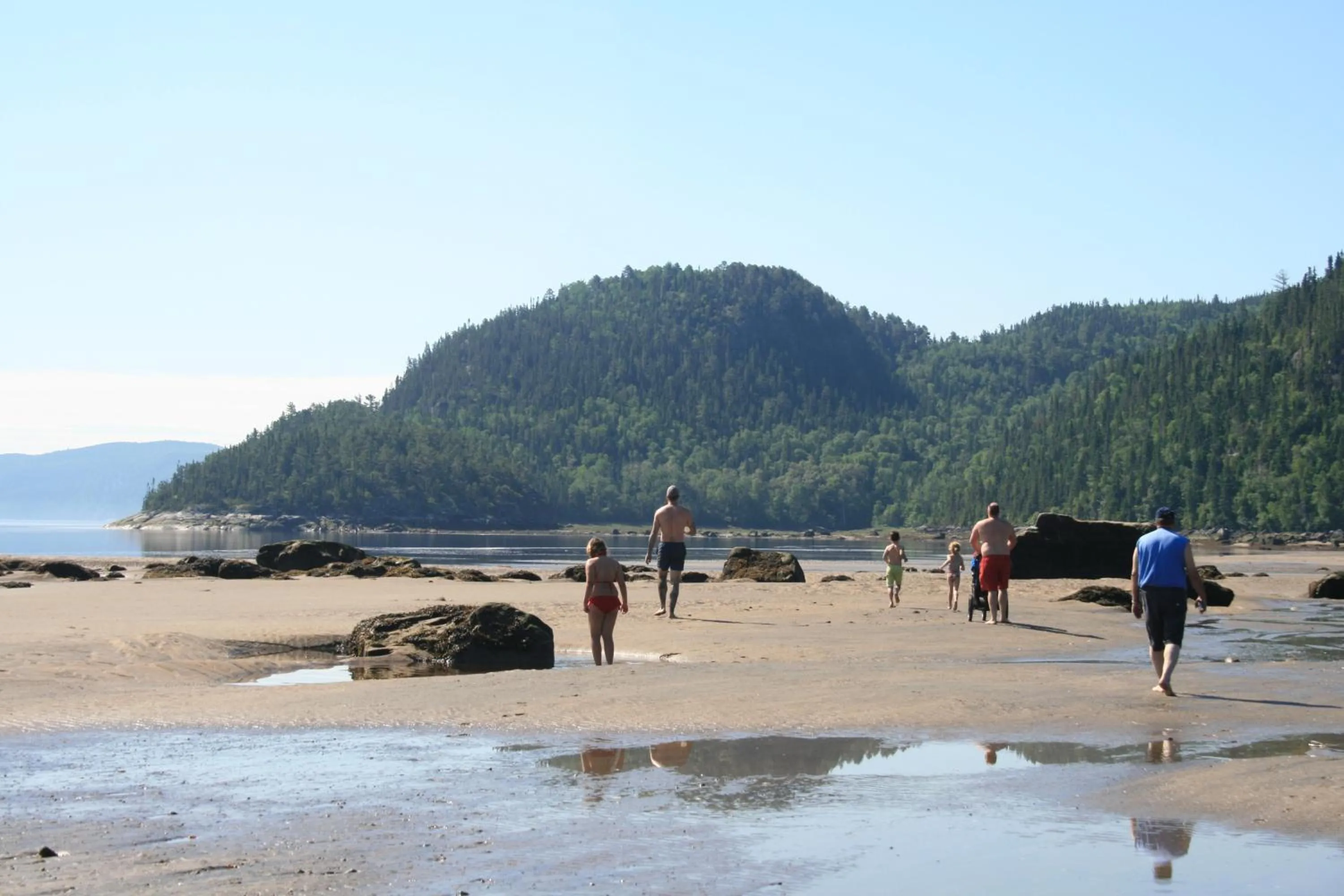 Natural landscape in Gîte Marie-Claire