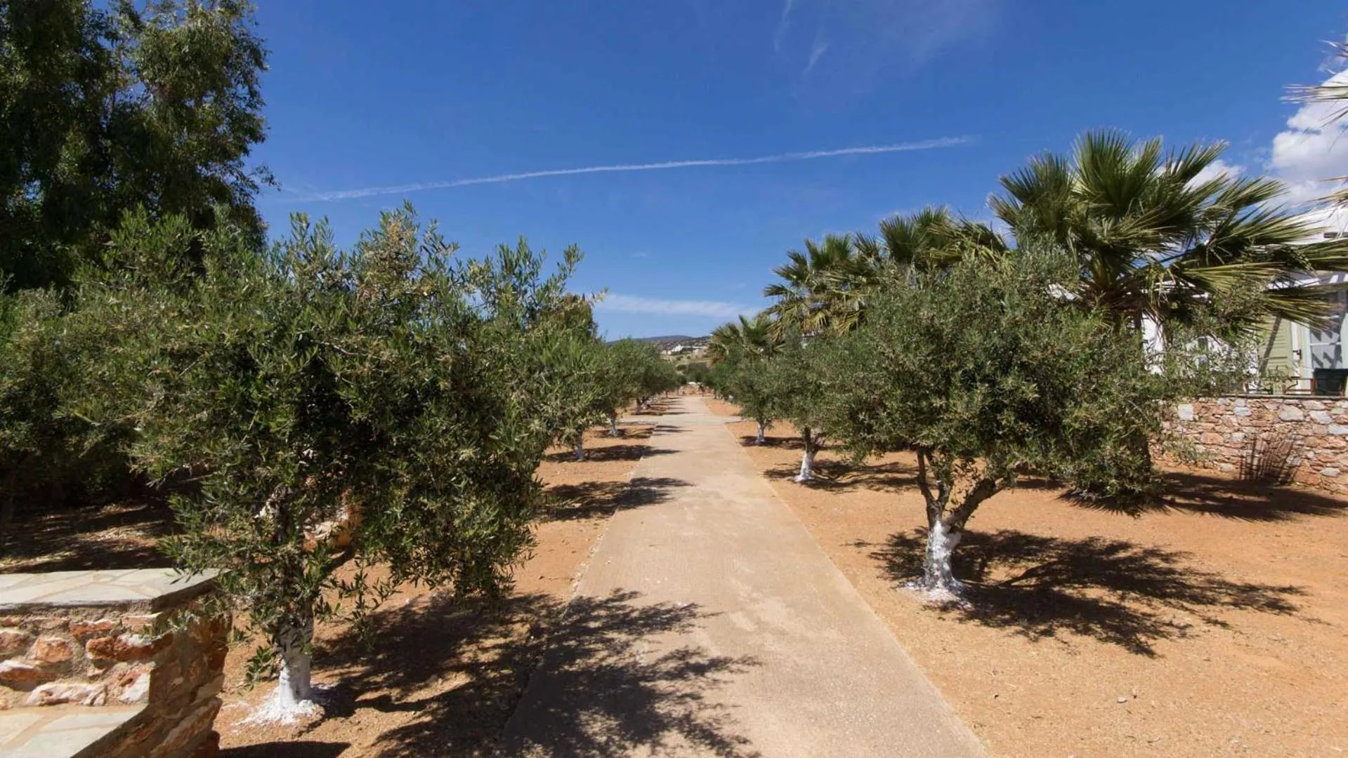 Garden in Parosland Hotel