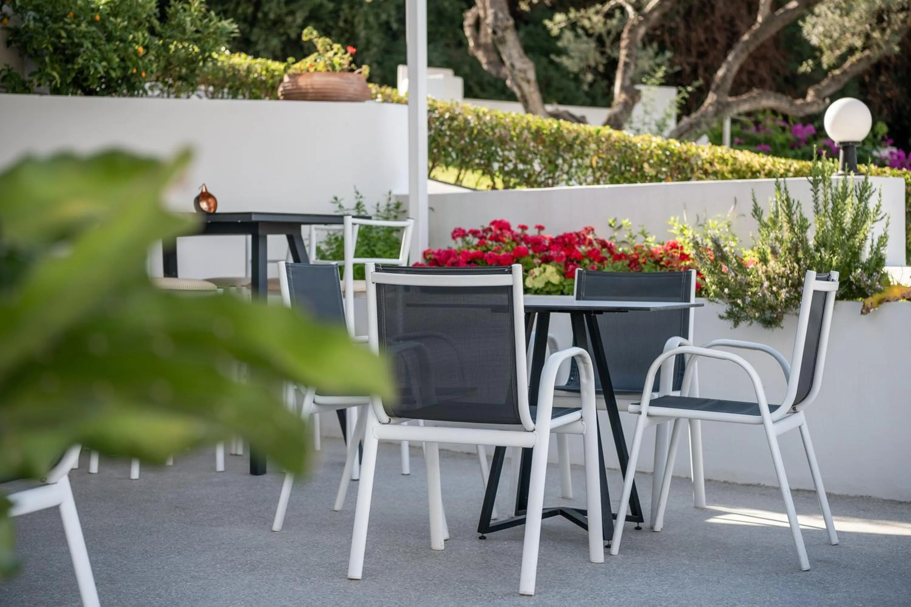 Area and facilities in Villa Life