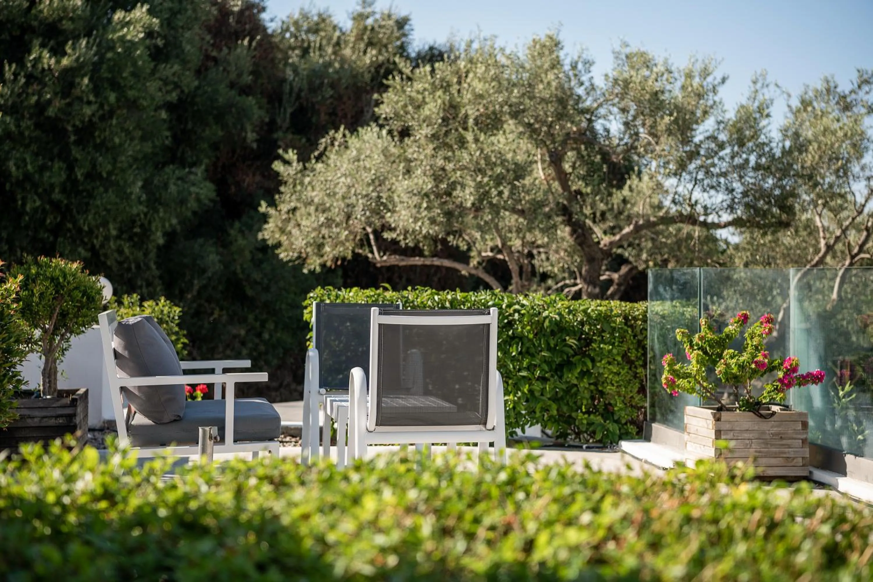 Patio in Villa Life