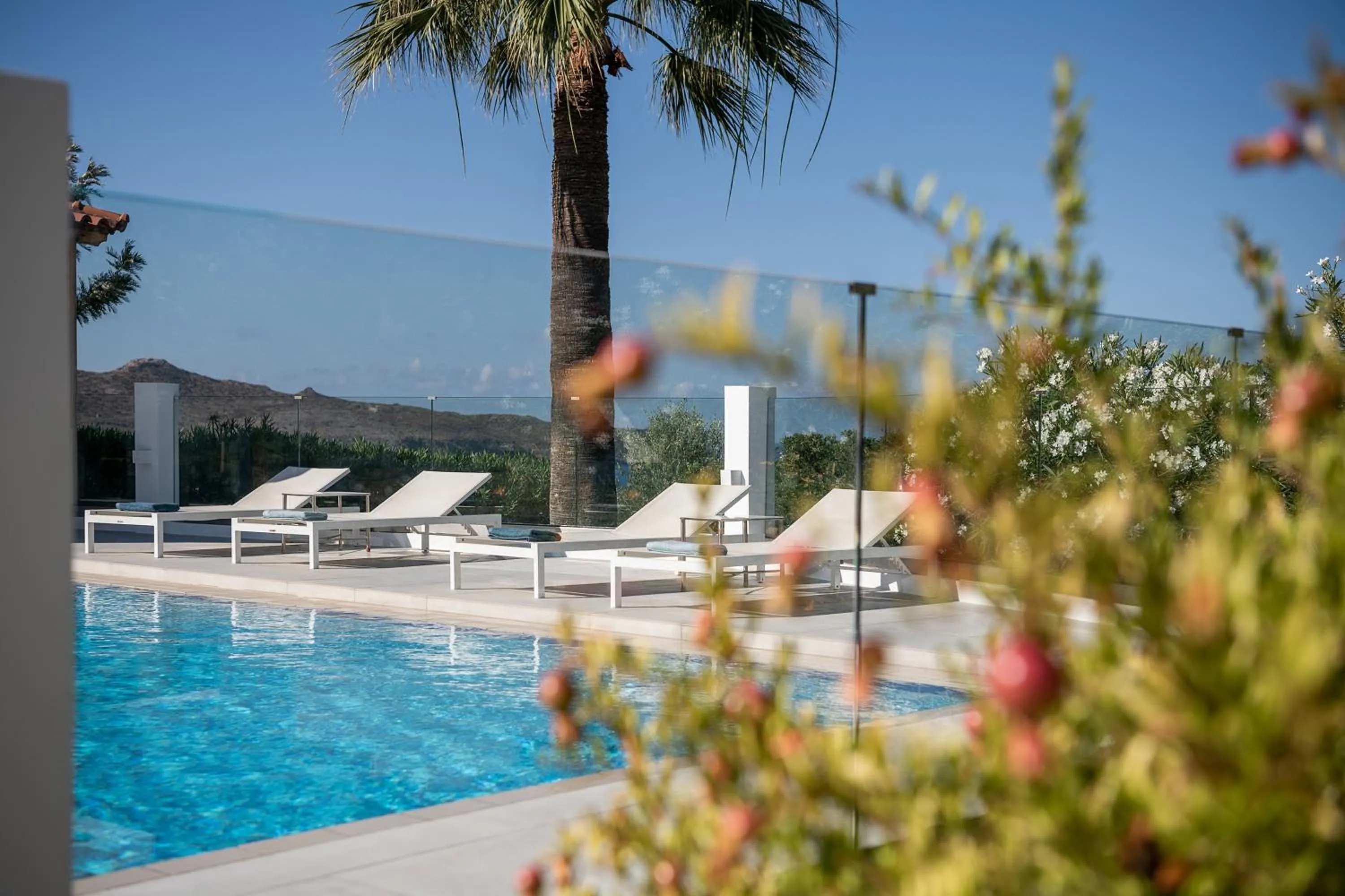 Swimming pool in Villa Life