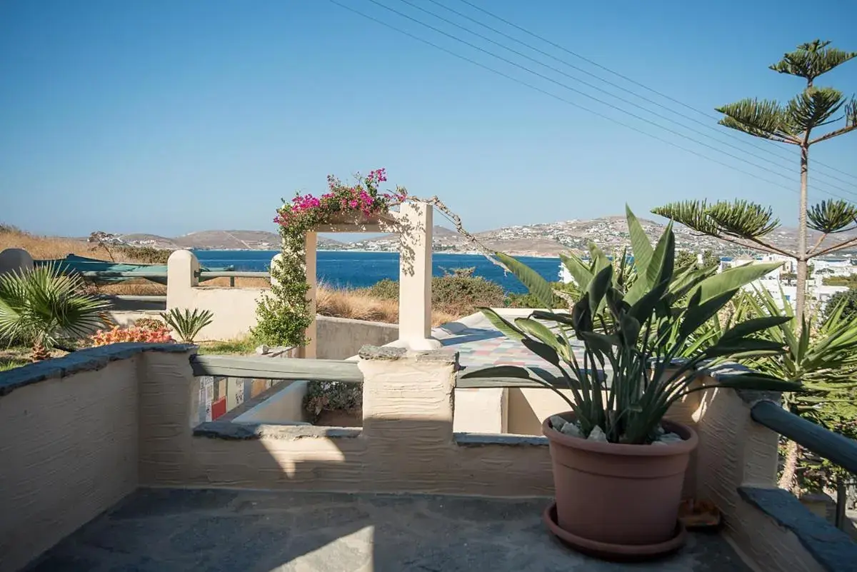 City view in Anthippi City view in Anthippi