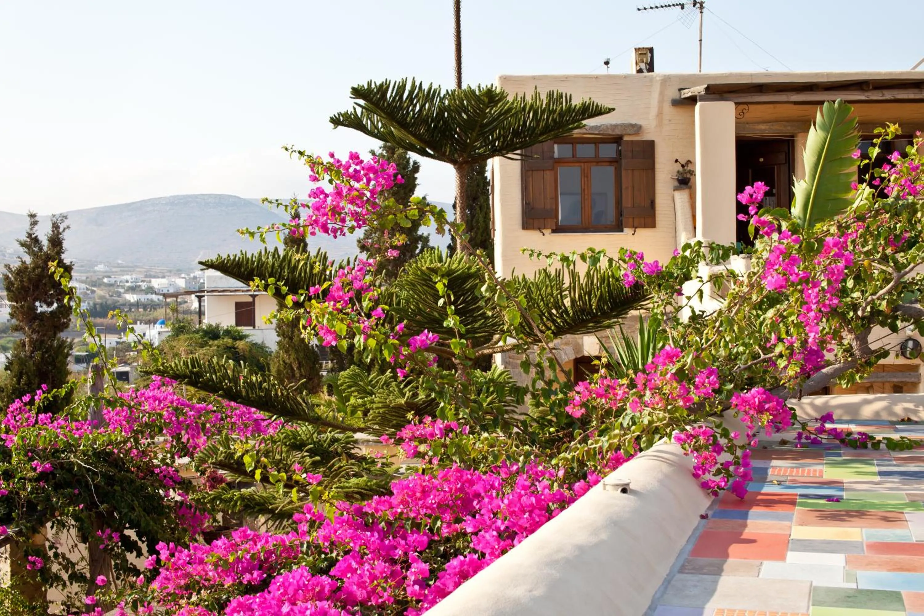 Facade/entrance in Anthippi