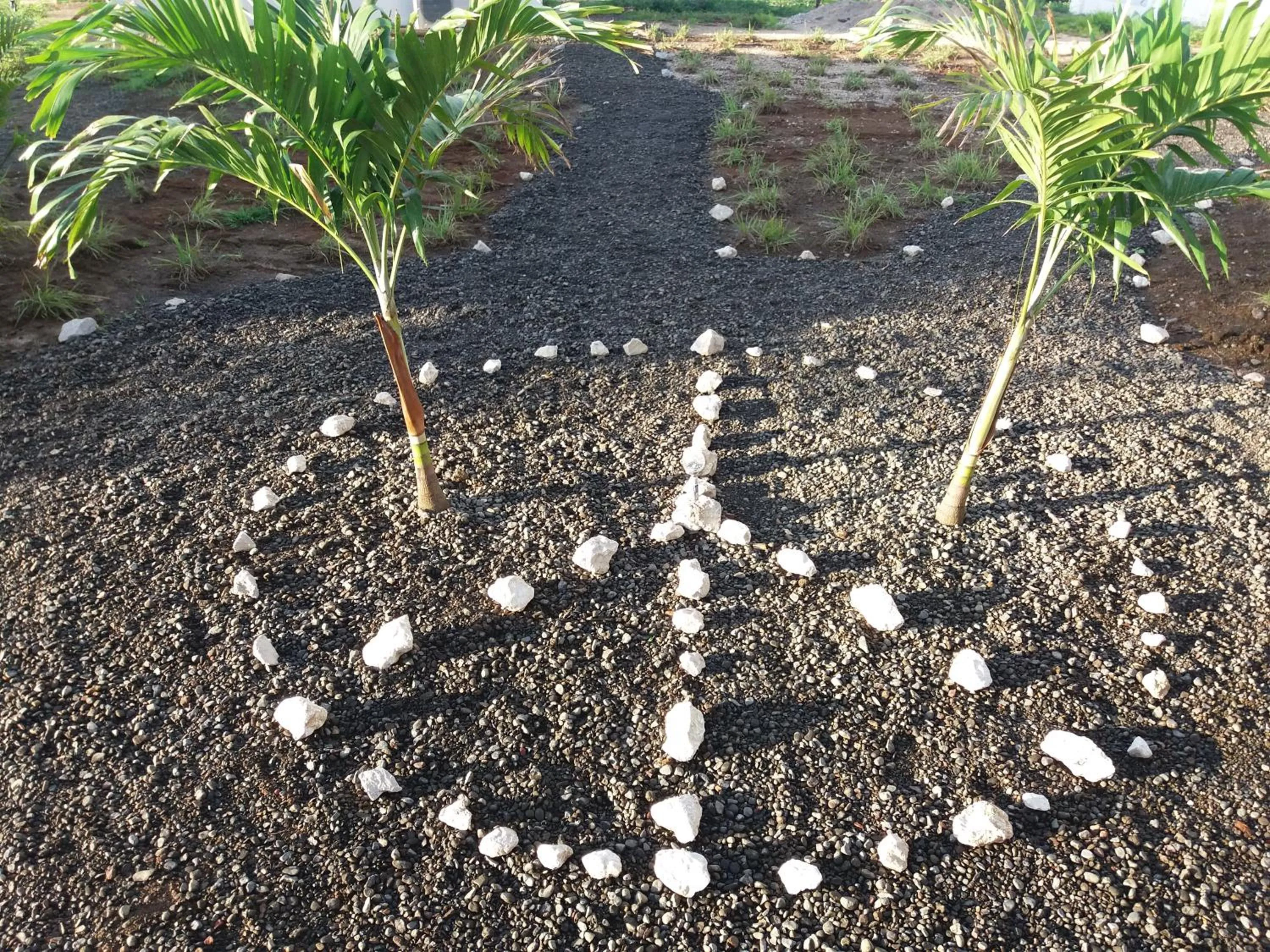 Property building in Hotel Peace & Lodge