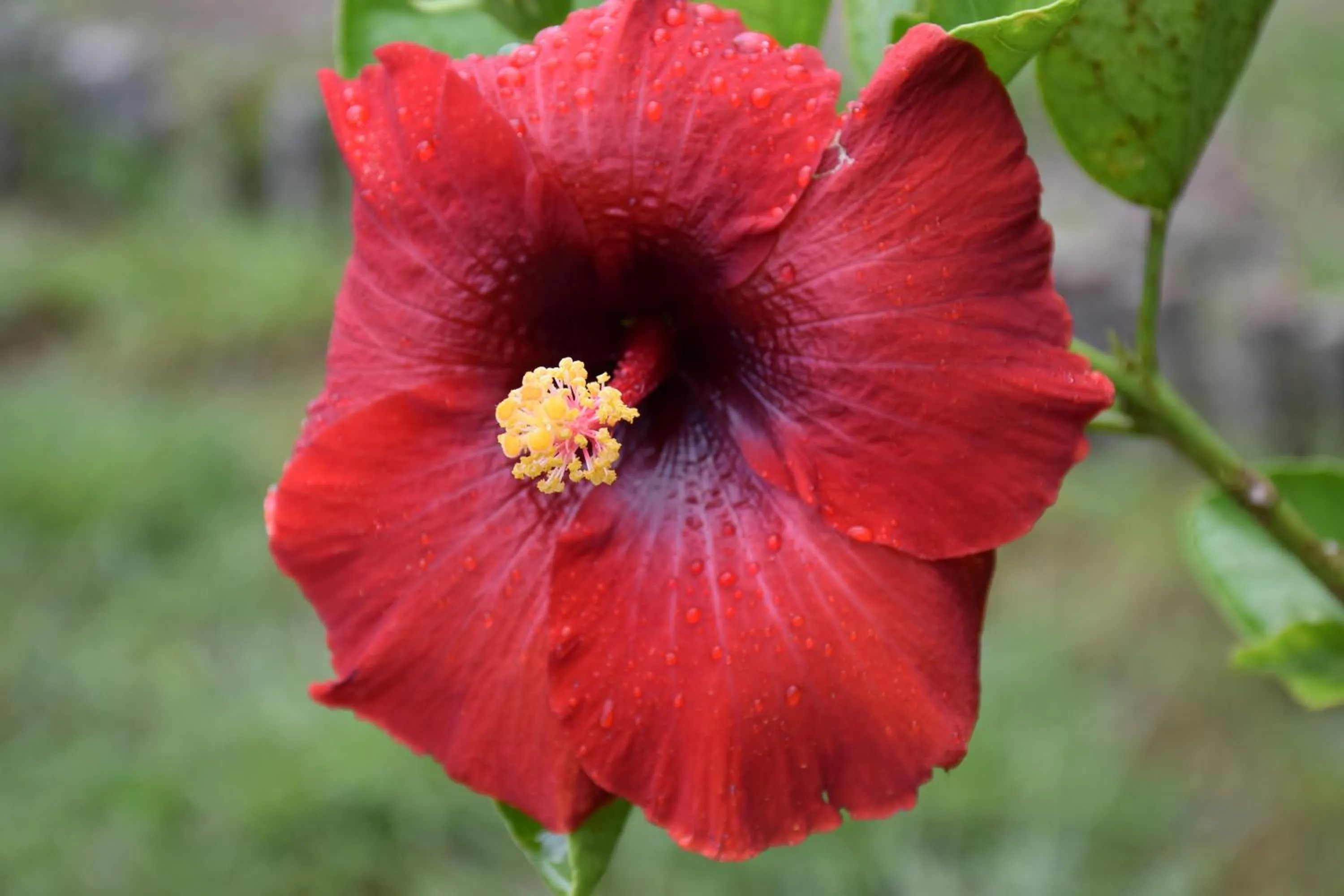 Other in Hotel Peace & Lodge