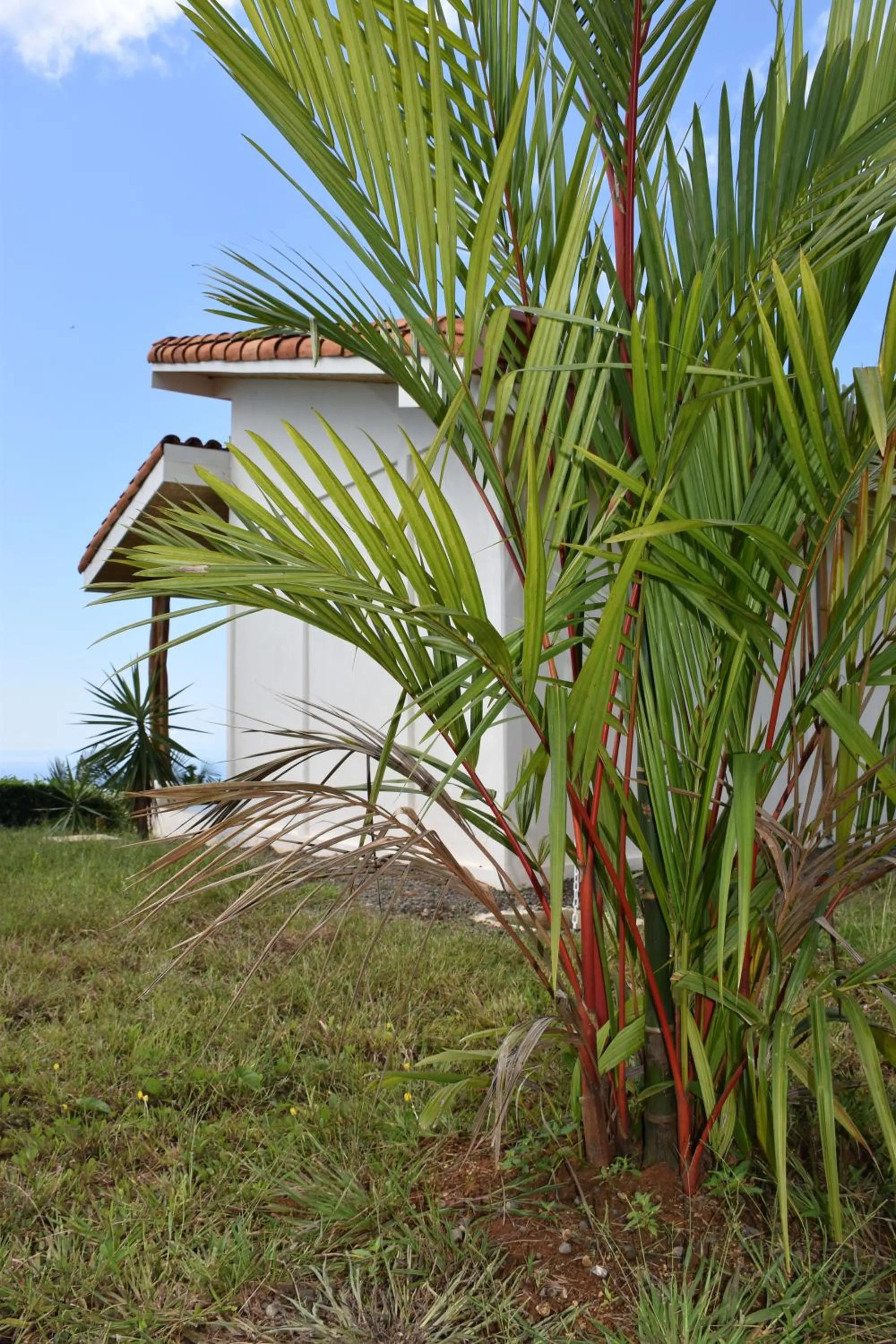 Property building in Hotel Peace & Lodge