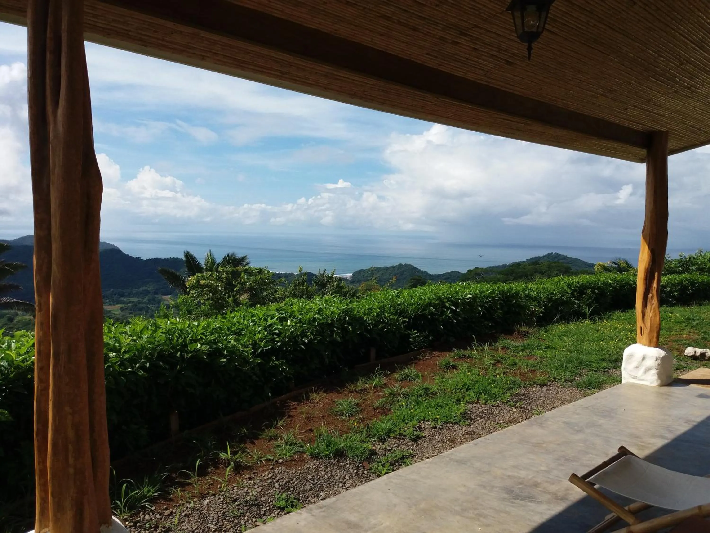 Patio in Hotel Peace & Lodge