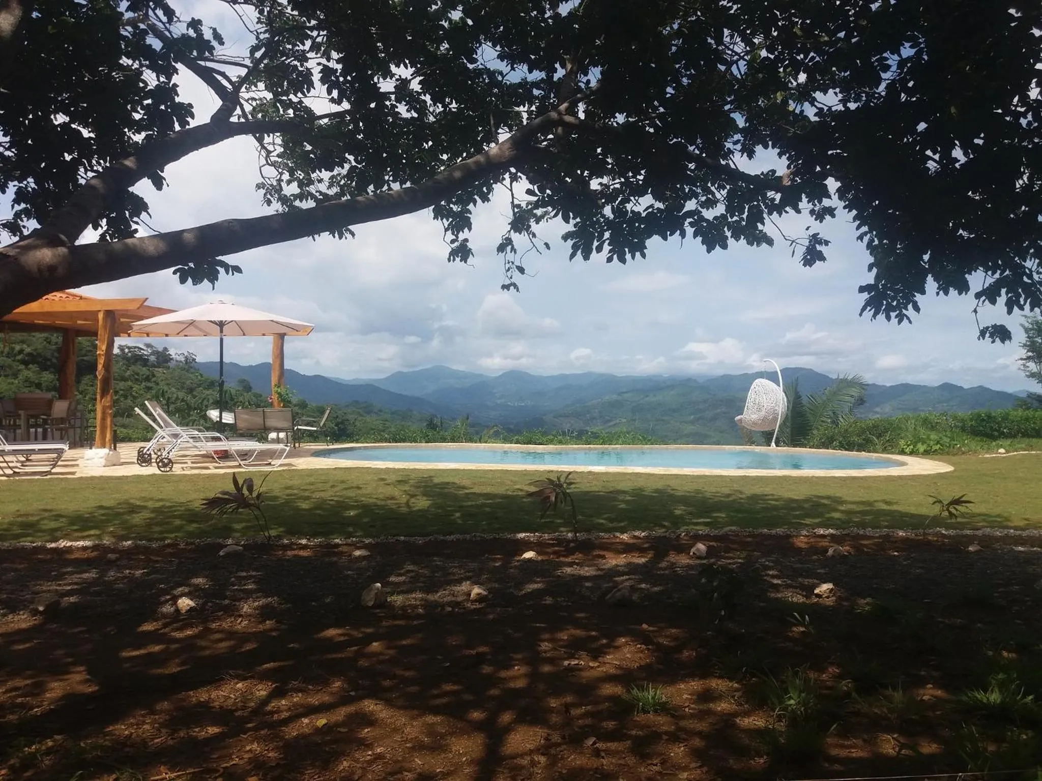 Garden in Hotel Peace & Lodge