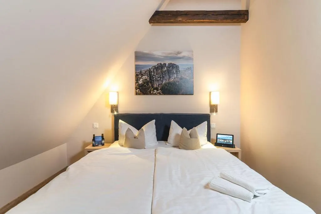 Photo of the whole room, Bed in Pirnscher Hof - Hotel Garni