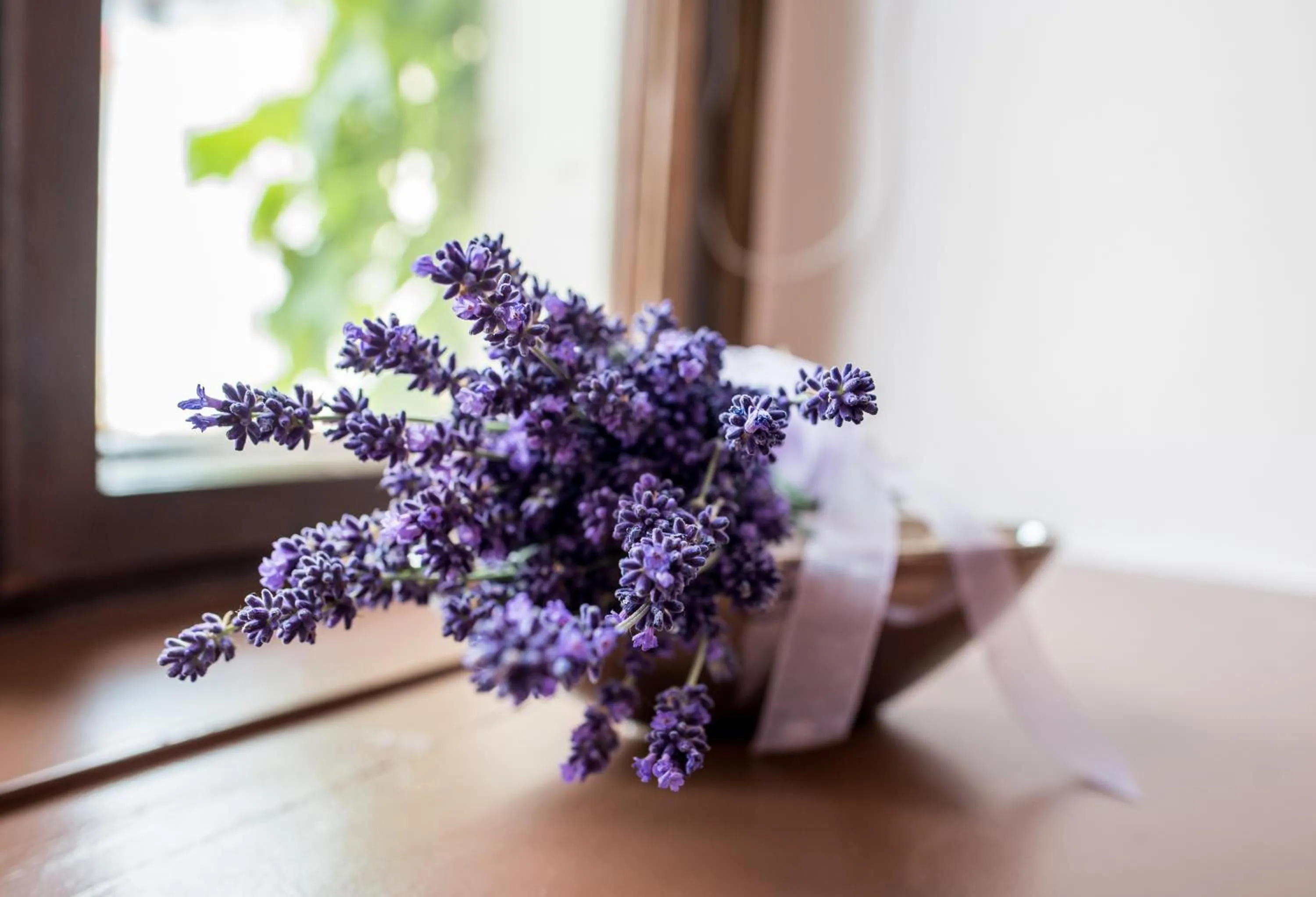Decorative detail in Pirnscher Hof - Hotel Garni