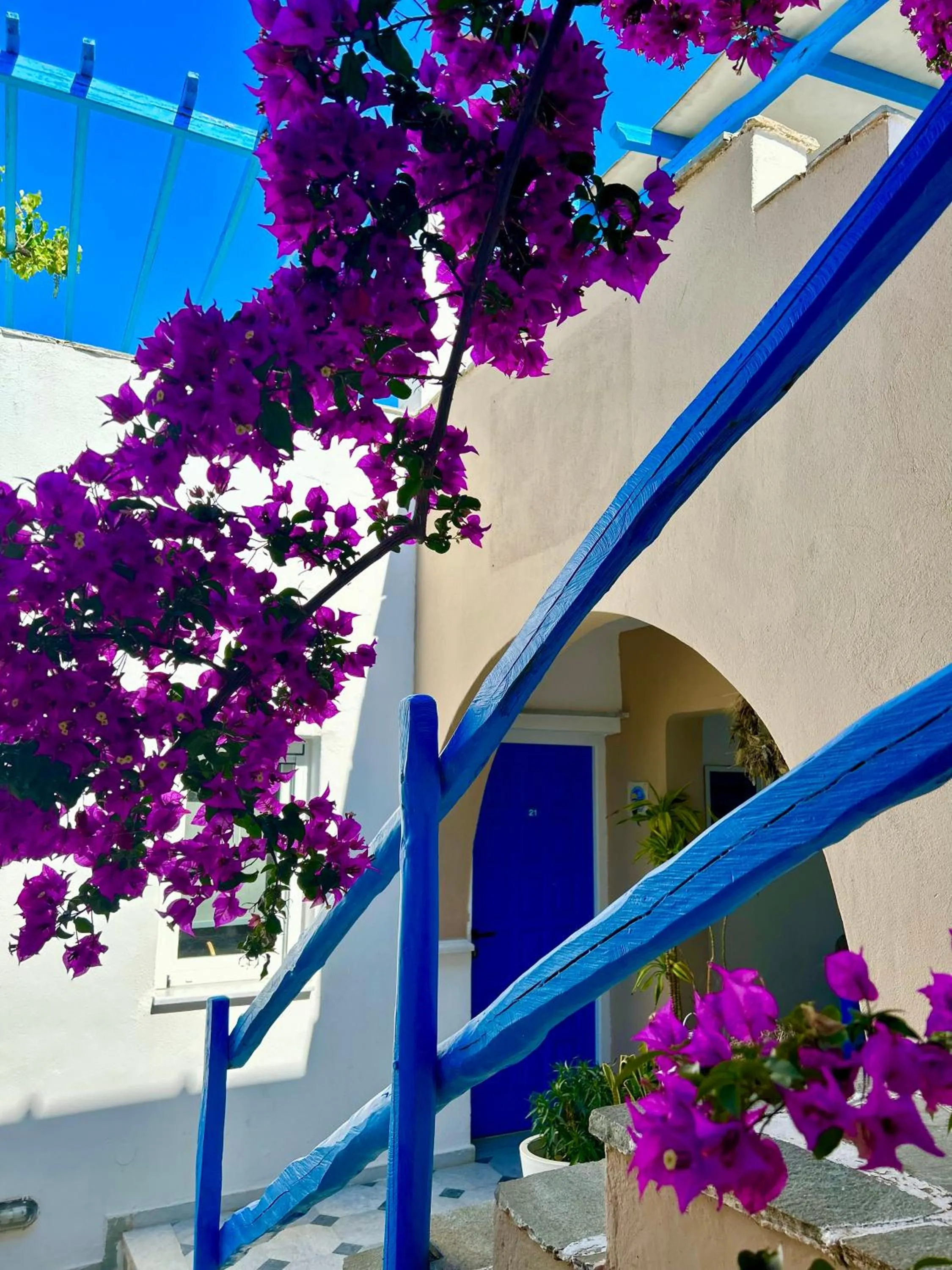 Sea View Apartments & Studios