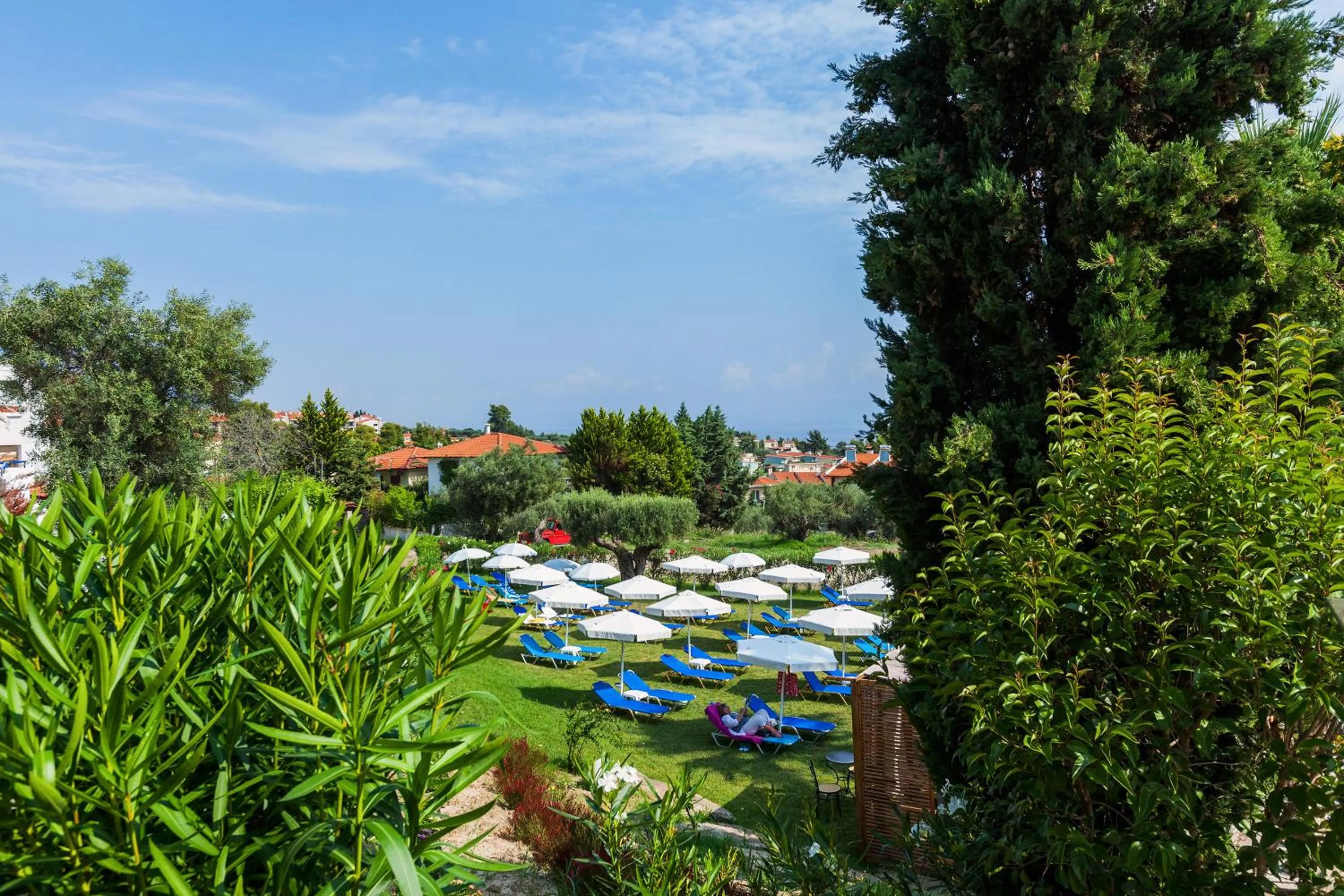 Garden in Hotel Kriopigi
