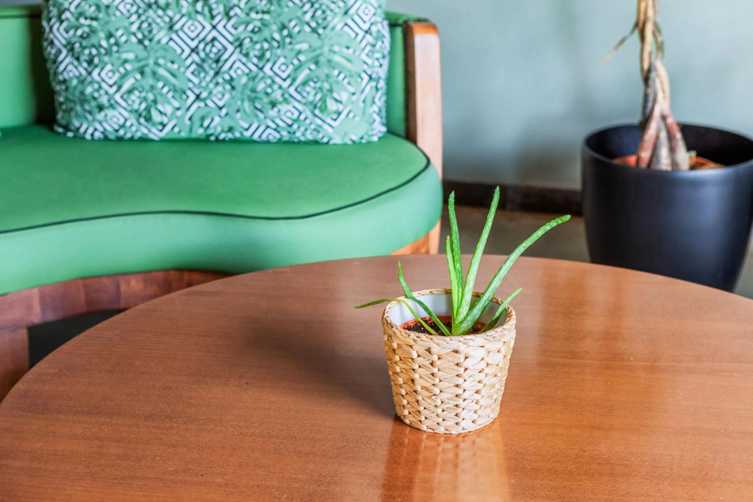 Seating area in Hotel Kriopigi